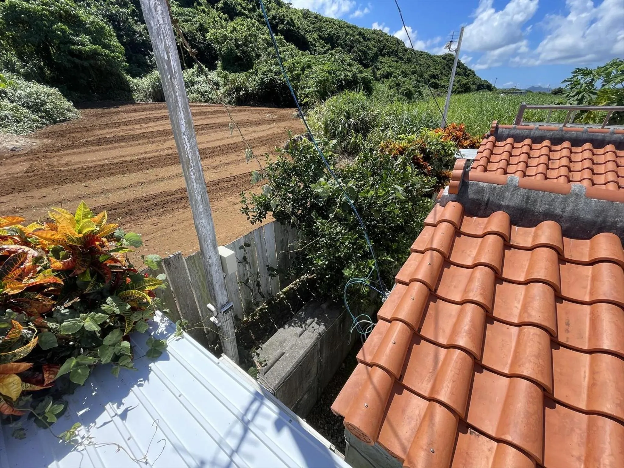 Natural landscape in Shiawaseninaru Kourijima no Yado