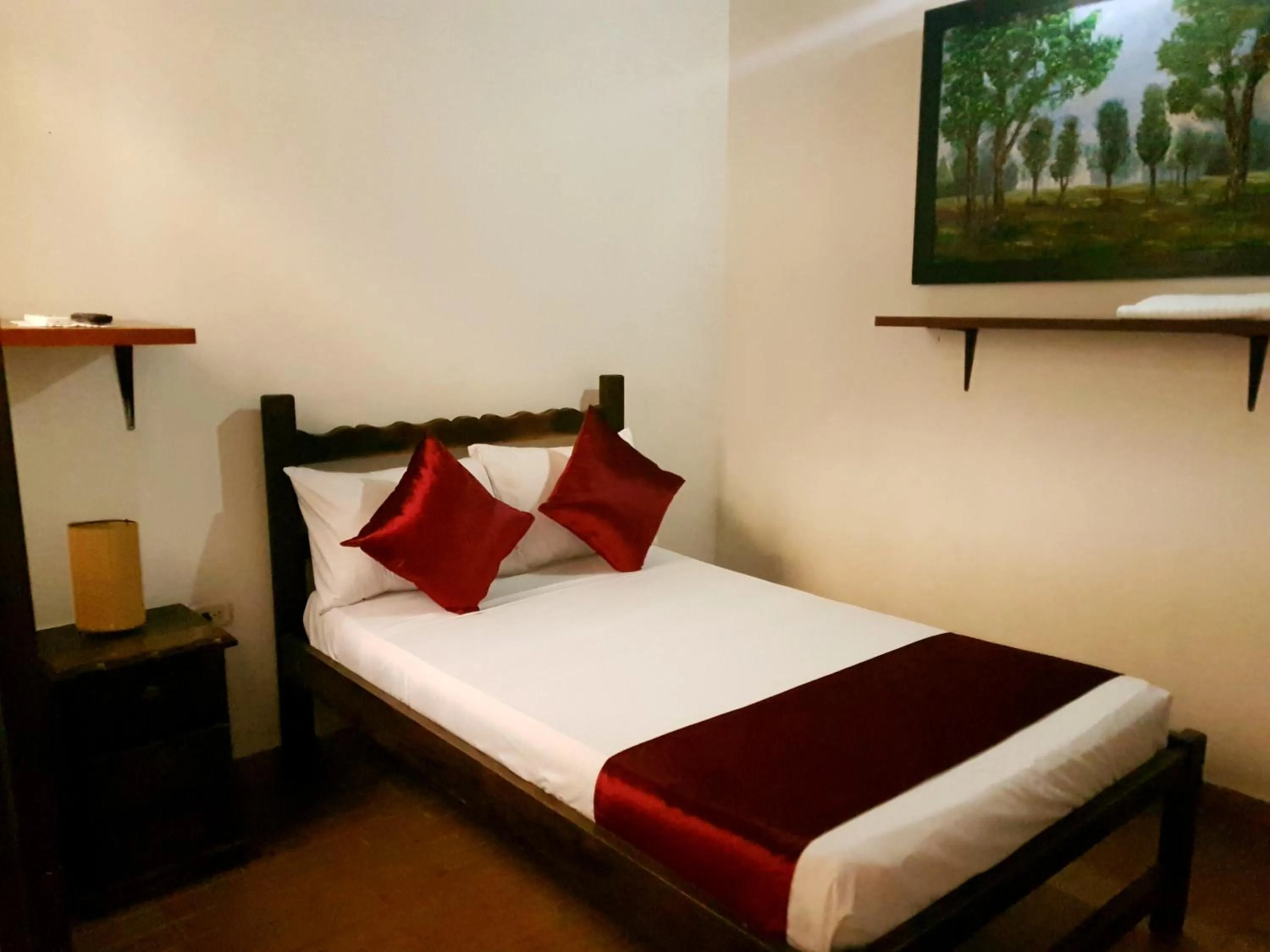 Standard Double Room - single occupancy in Hotel Don Juan Colonial