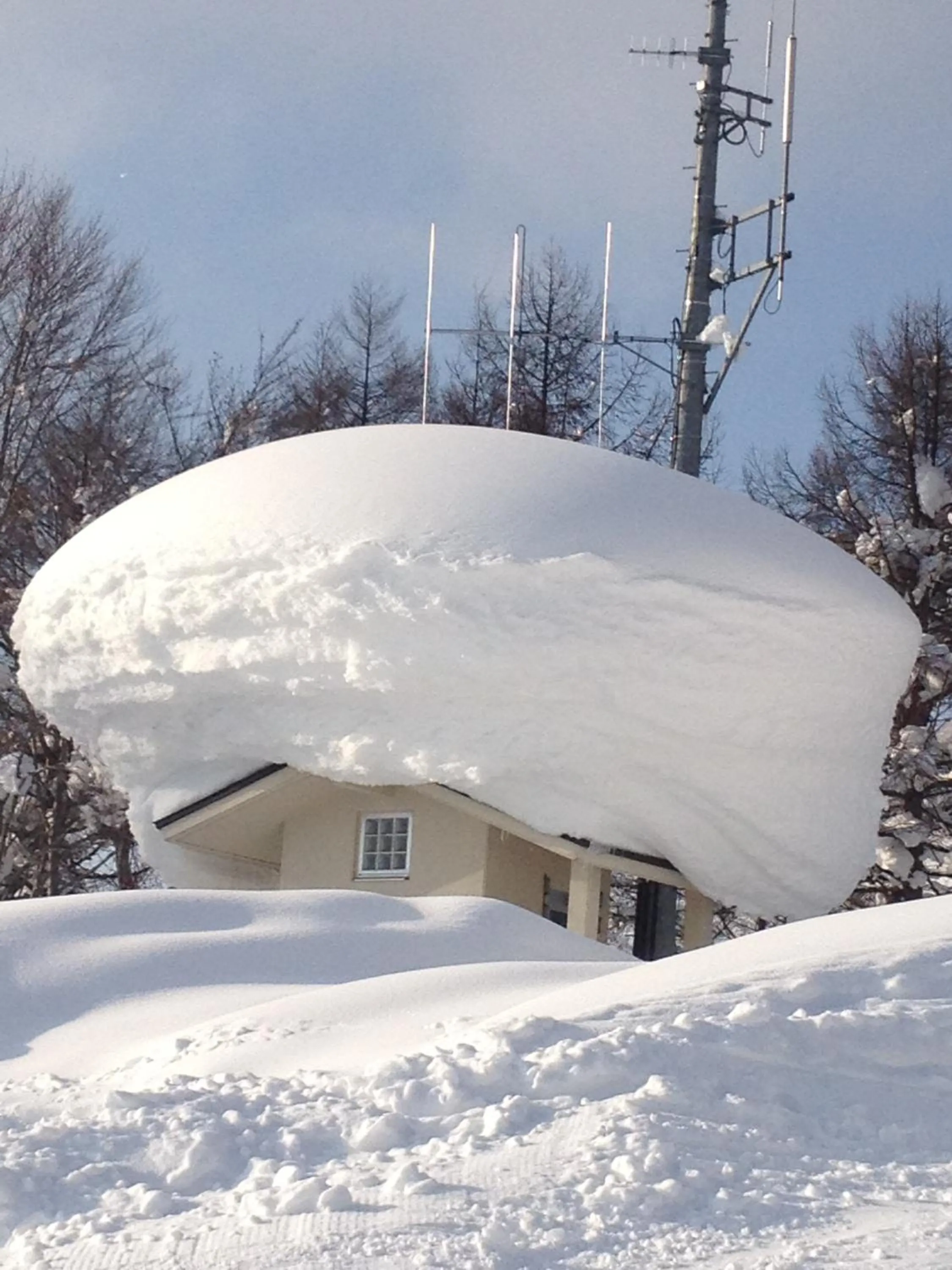 Natural landscape in Nozawa Dream Central