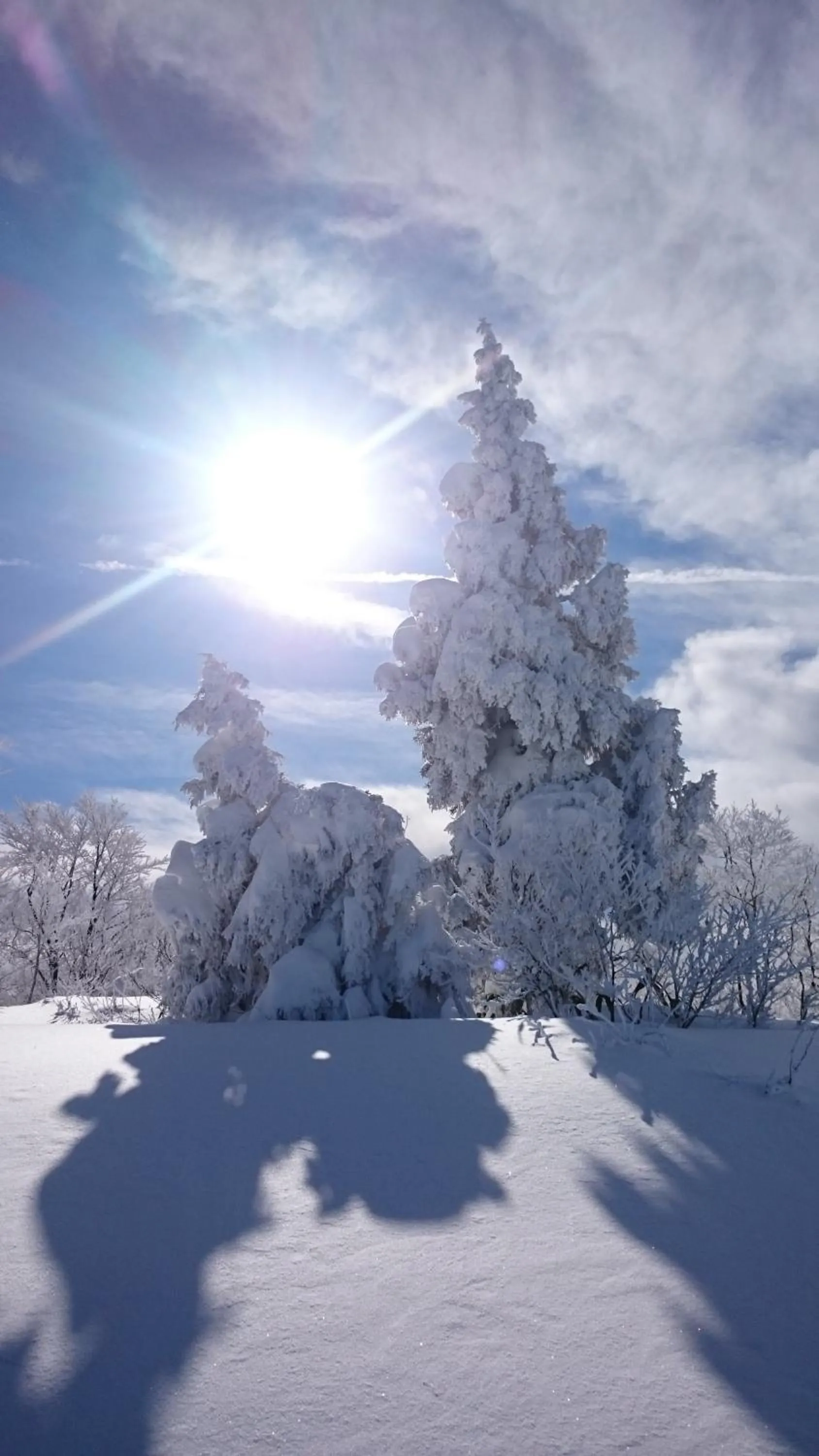 Natural landscape in Nozawa Dream Central