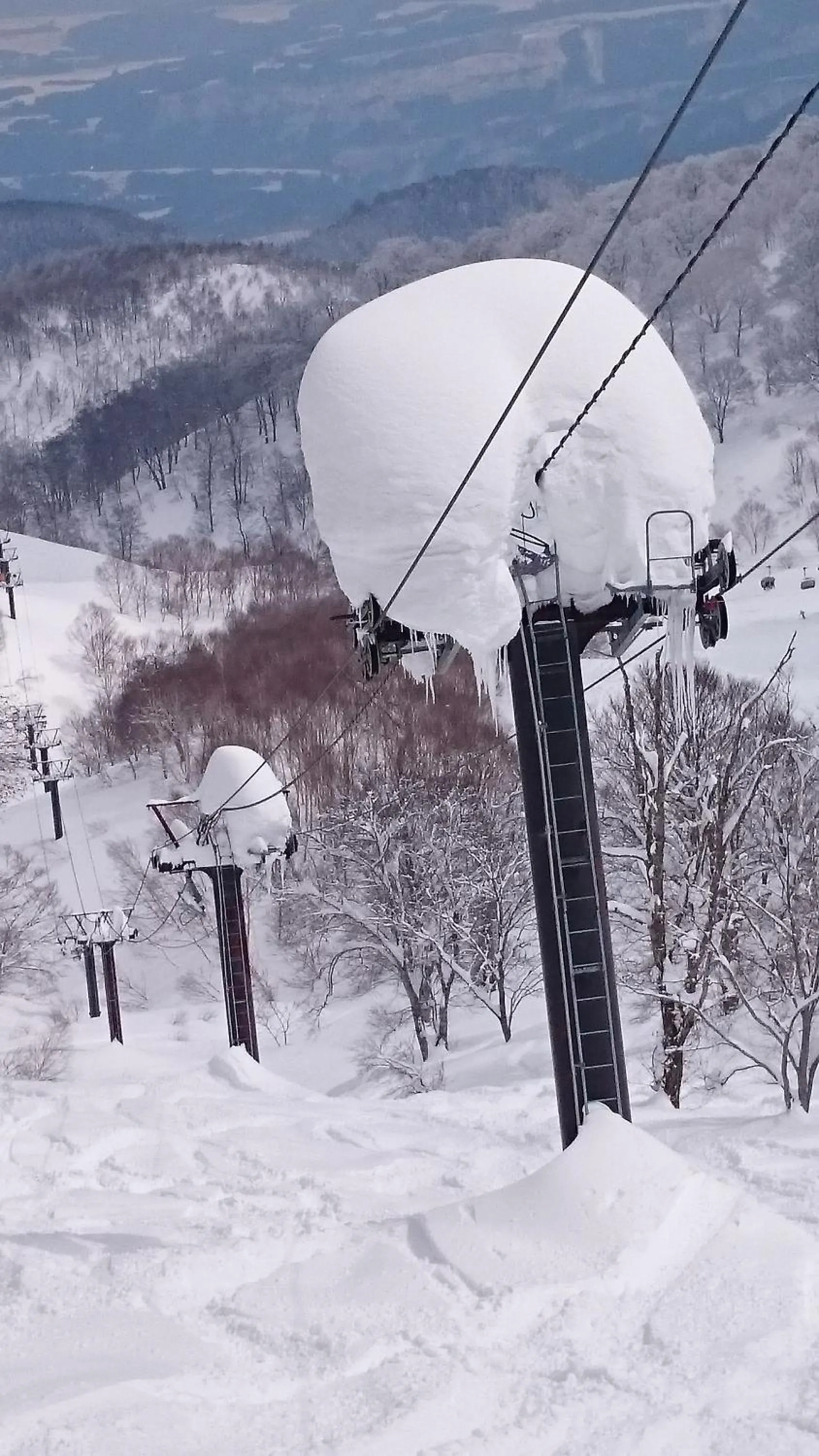 Skiing in Nozawa Dream Central