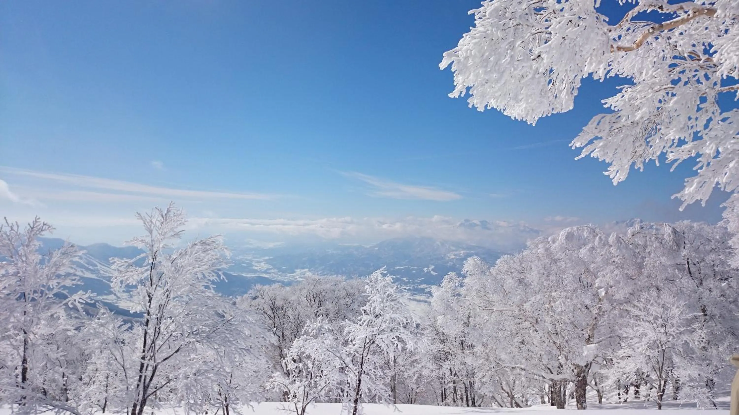 Natural landscape in Nozawa Dream Central