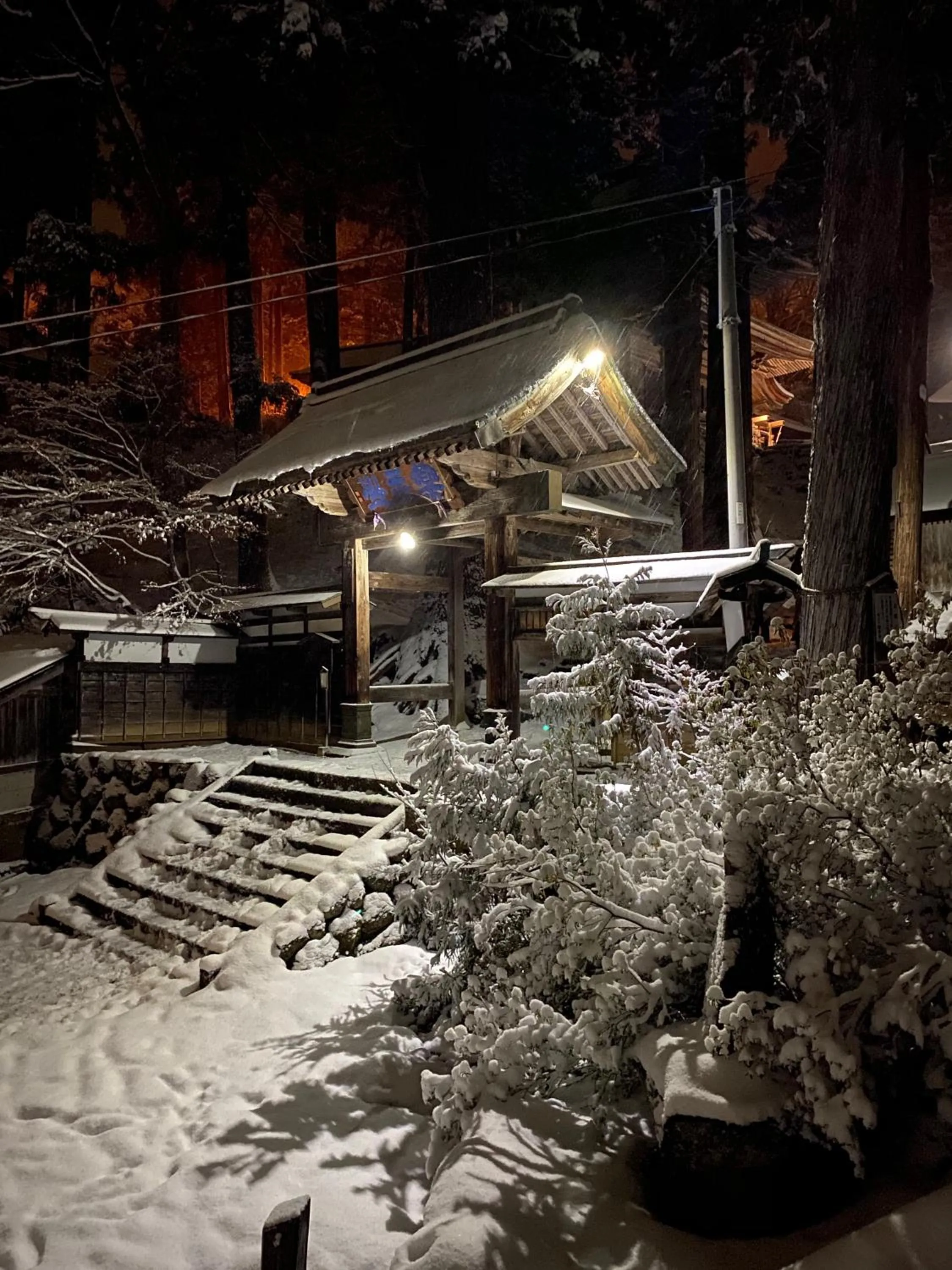 Winter in Nozawa Dream Central