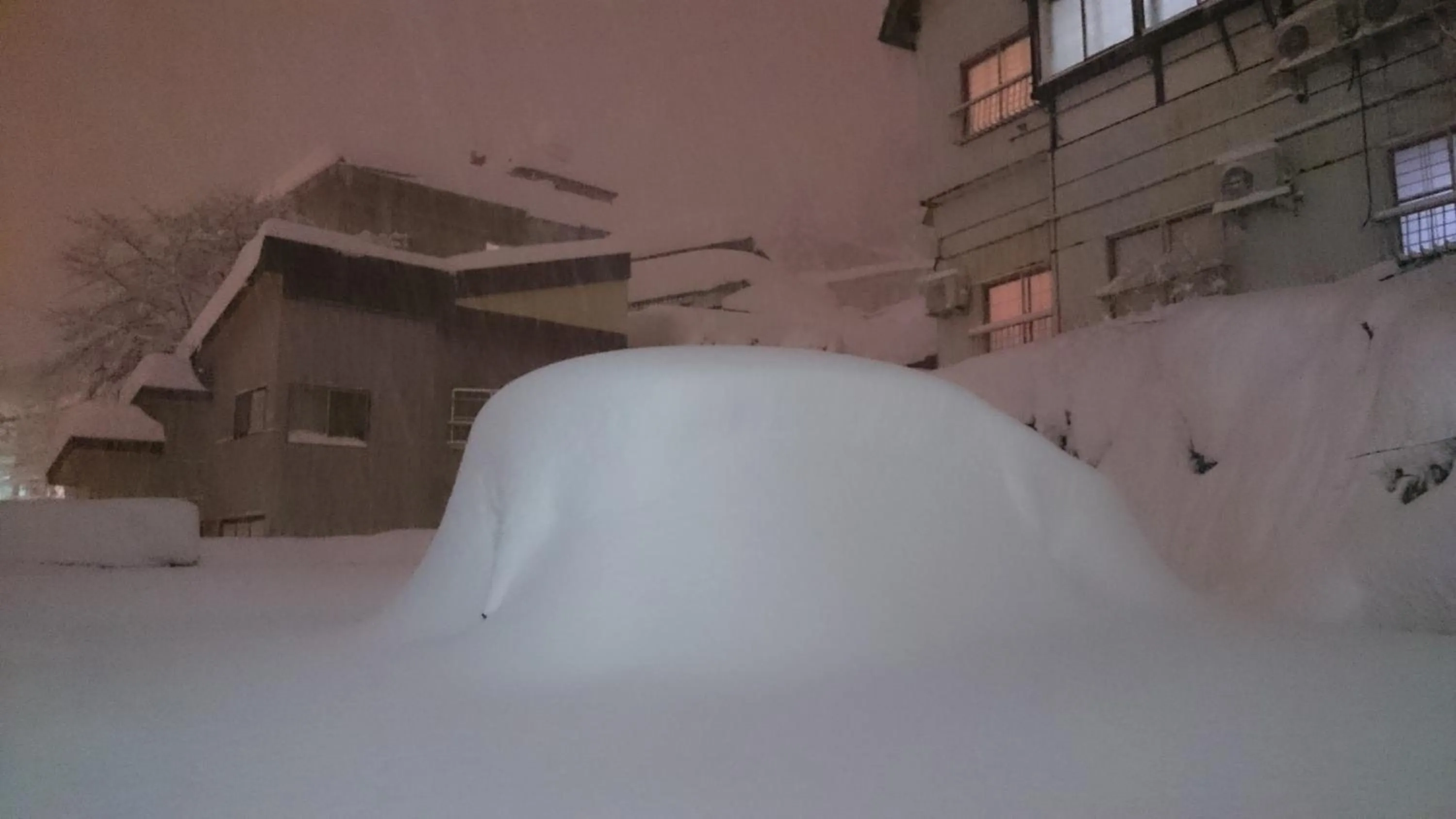 Winter in Nozawa Dream Central