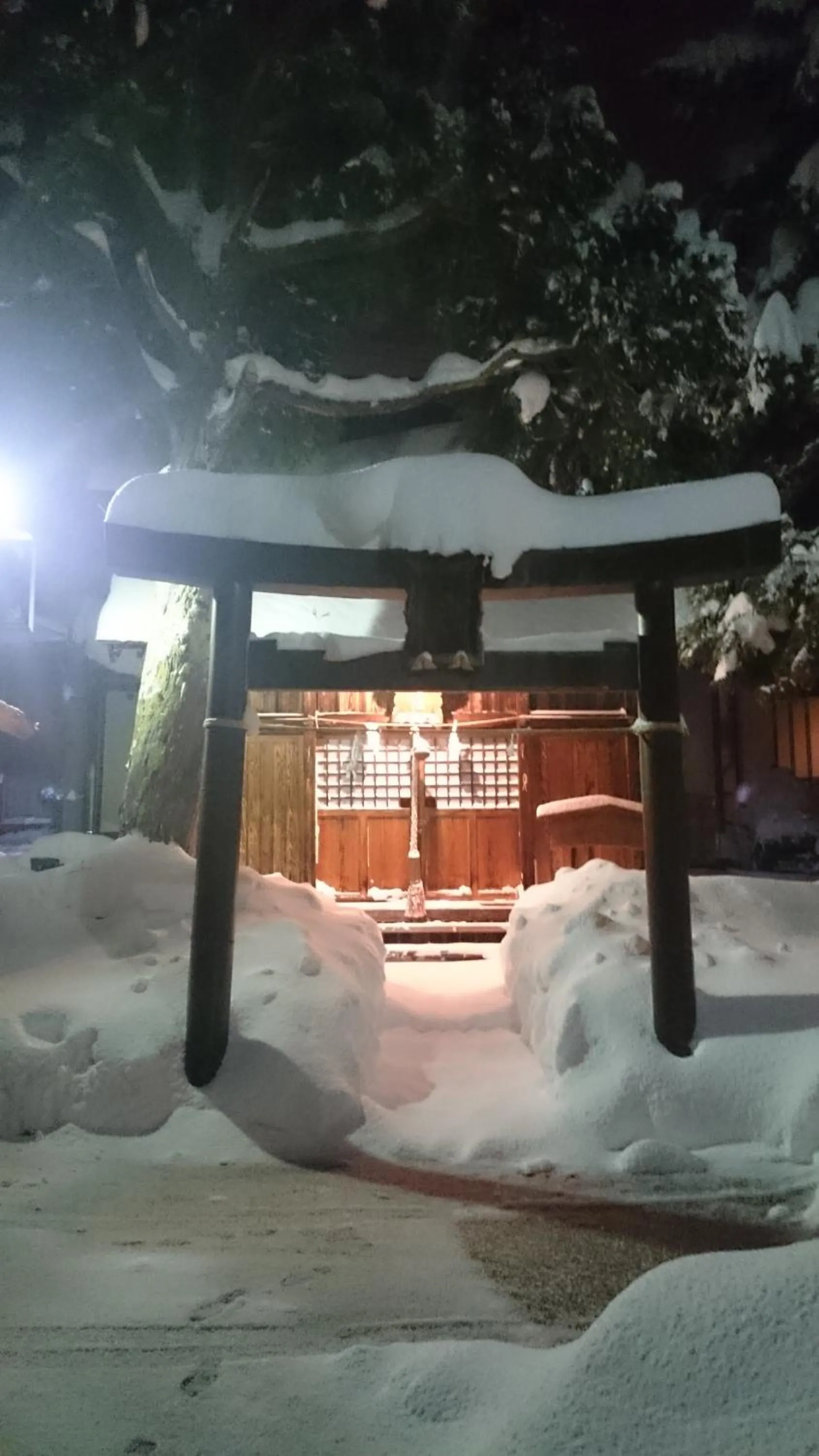 Winter in Nozawa Dream Central