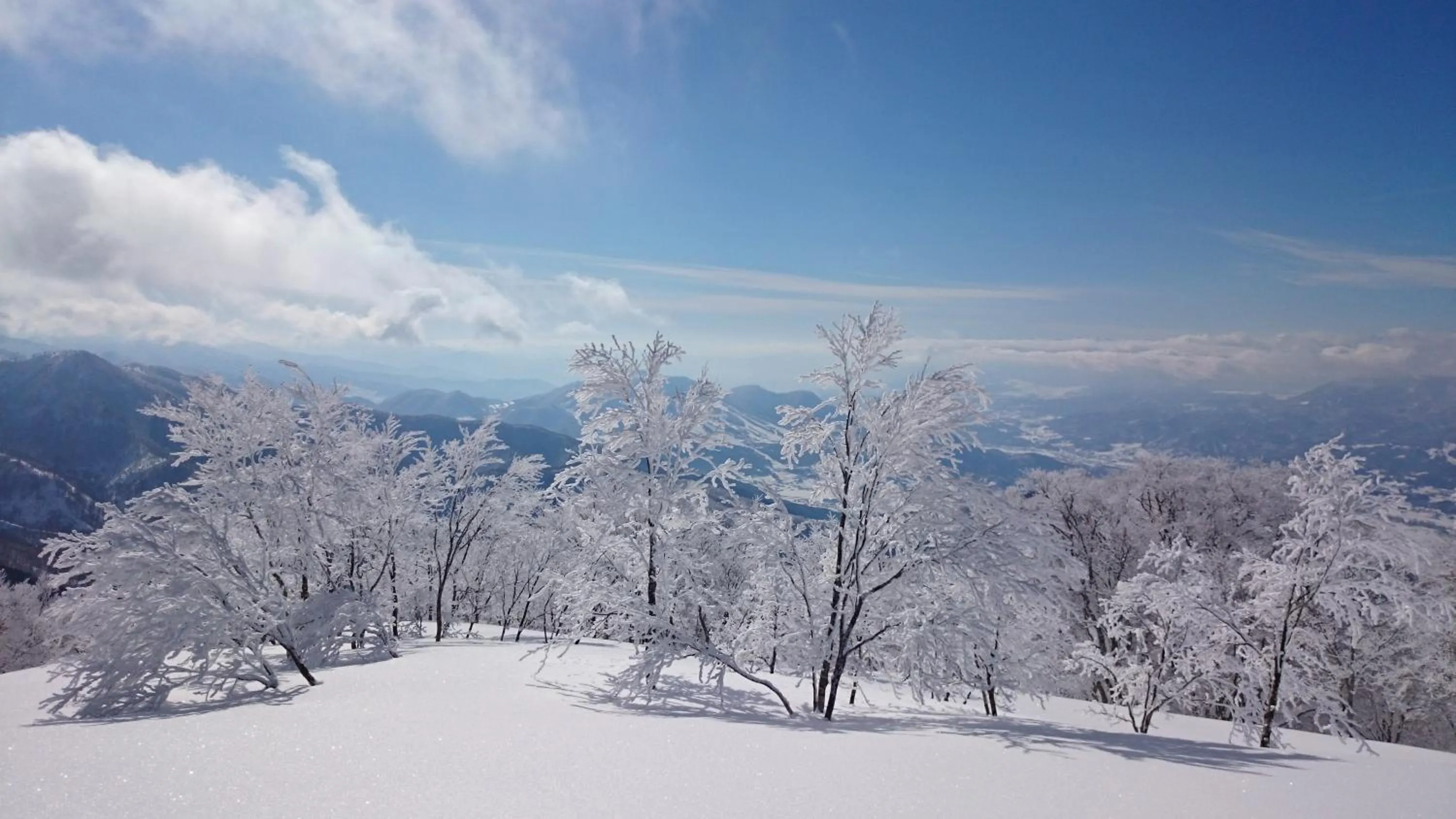Natural landscape in Nozawa Dream Central