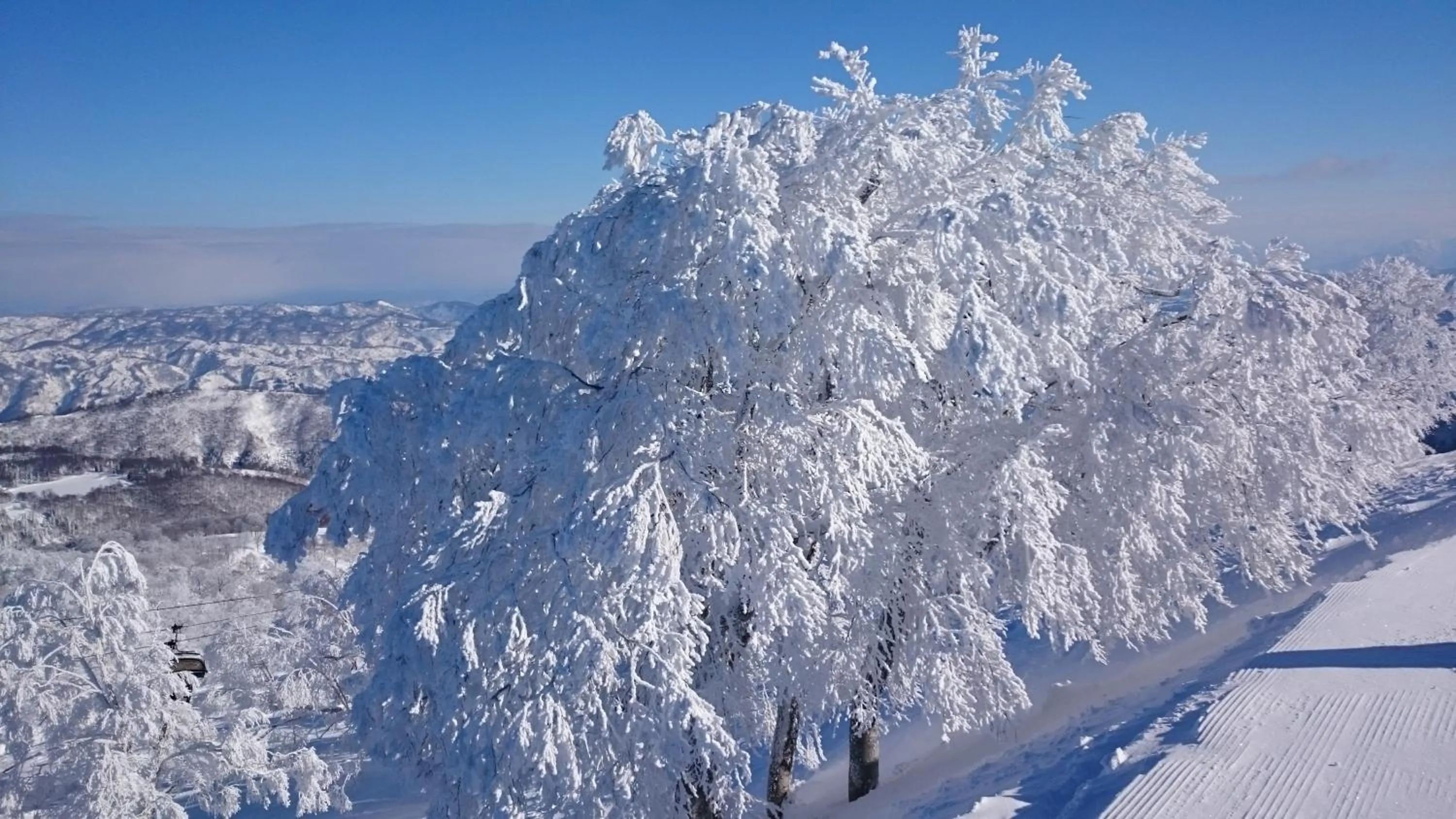 Natural landscape in Nozawa Dream Central