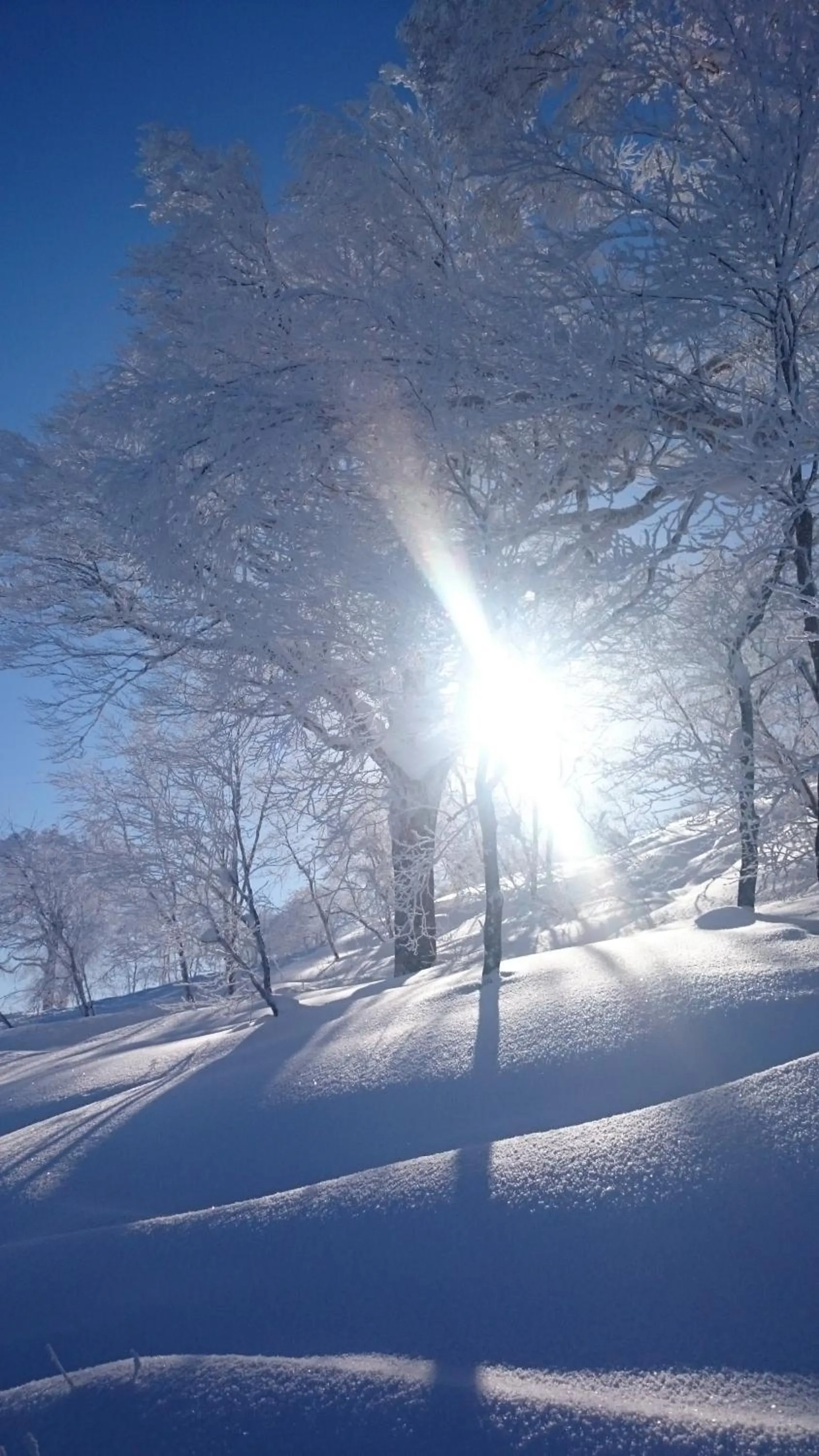 Natural landscape in Nozawa Dream Central