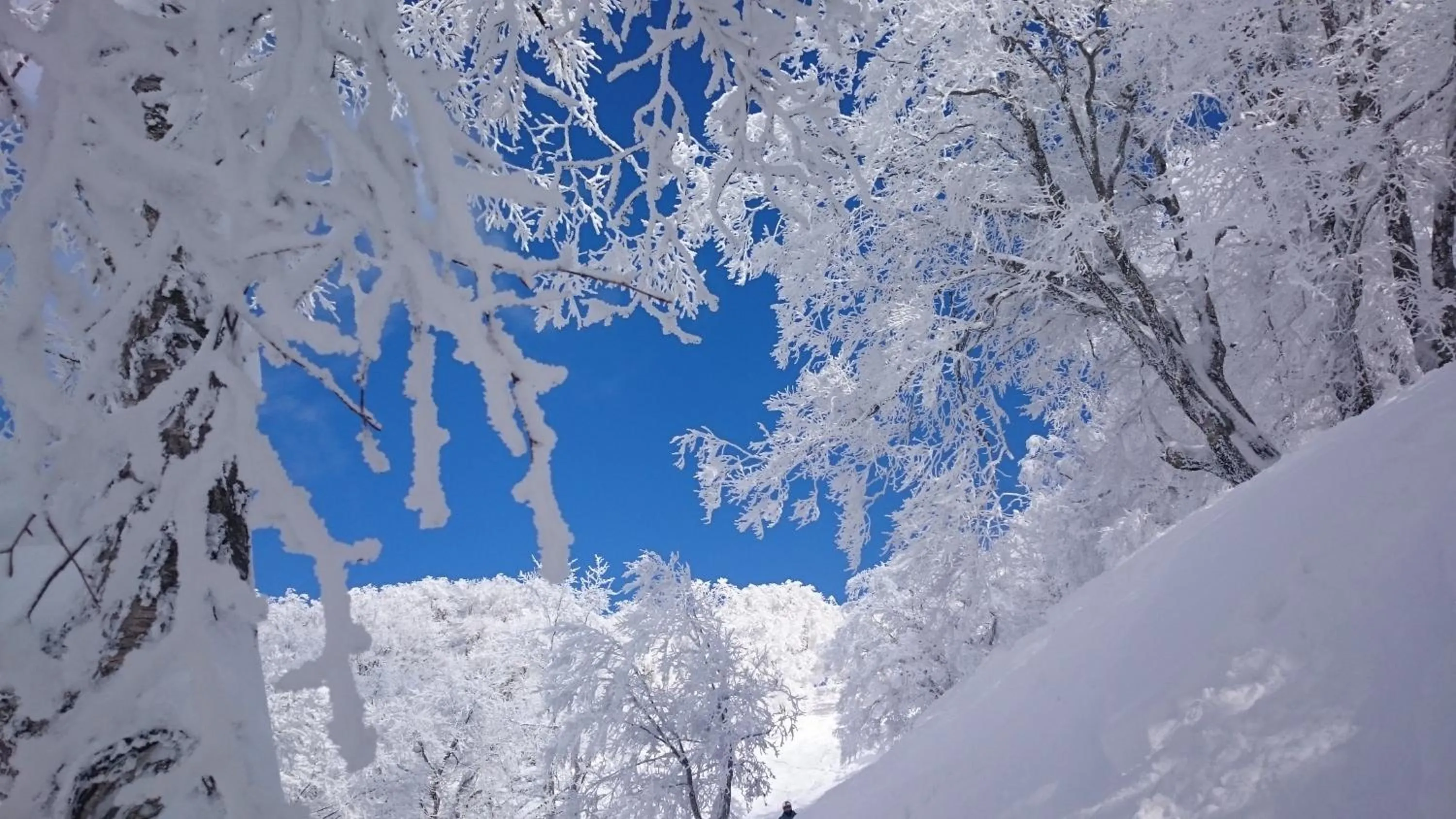 Natural landscape in Nozawa Dream Central