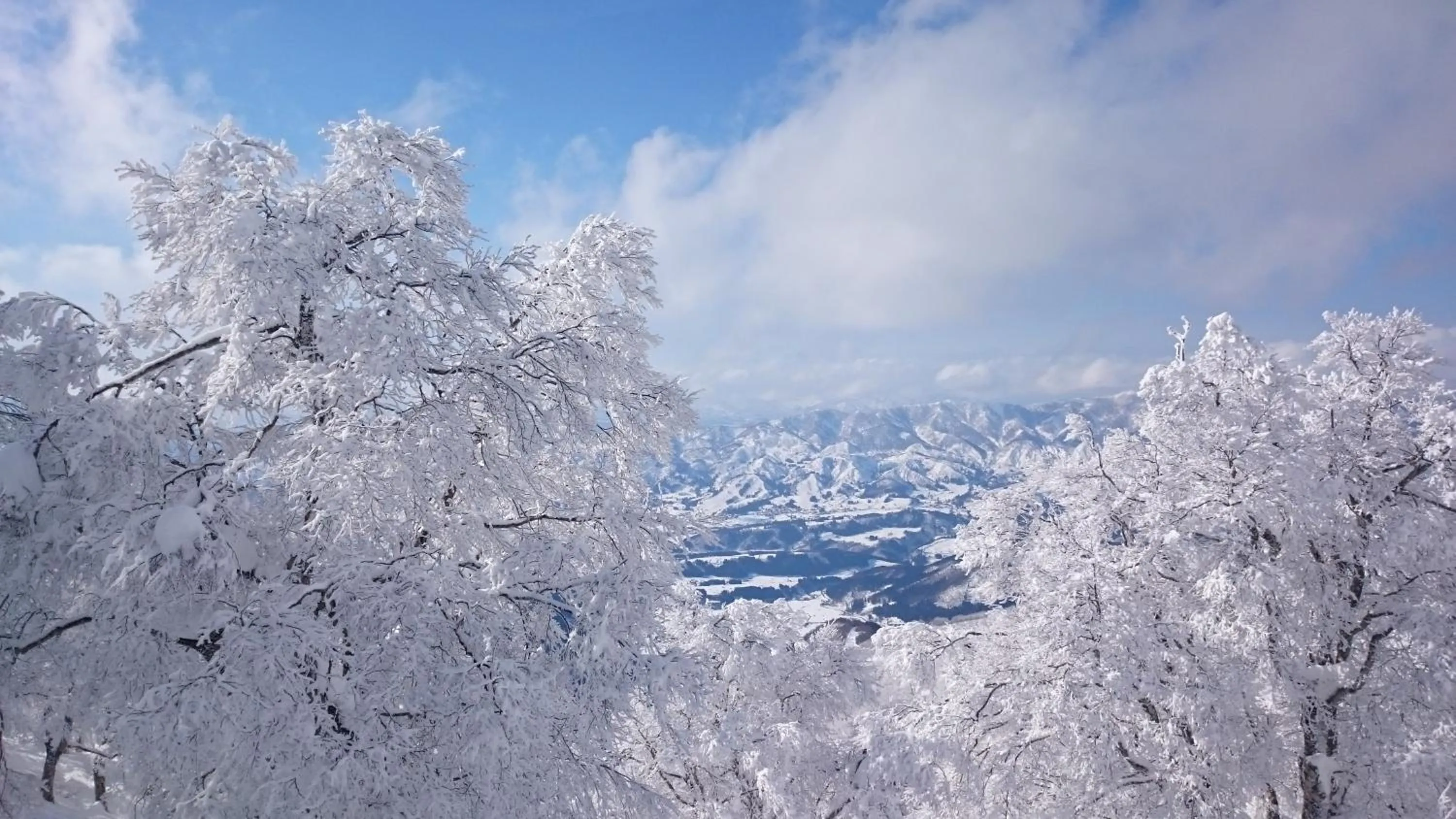 Natural landscape in Nozawa Dream Central