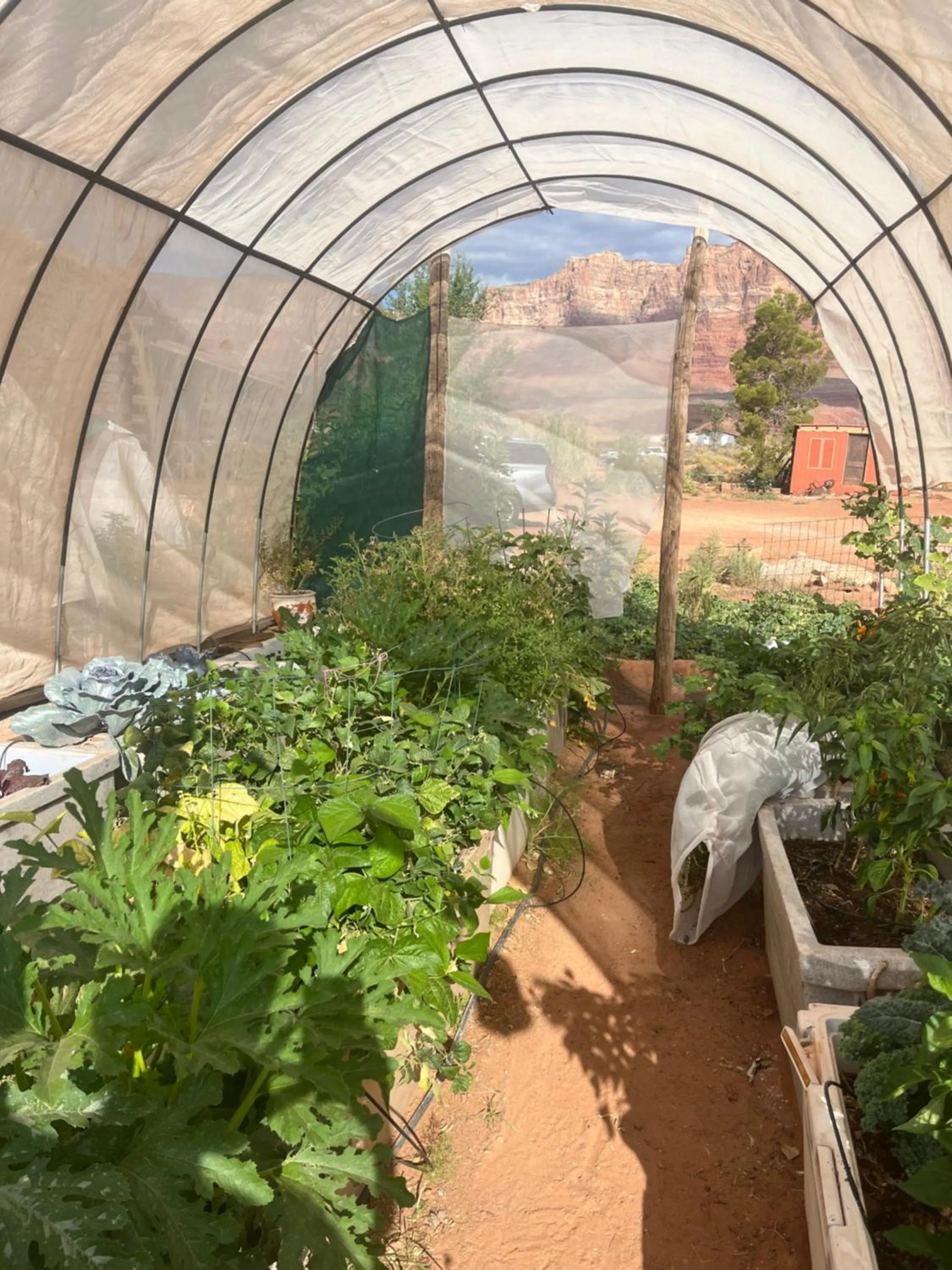 Natural landscape in Lee's Ferry Lodge at Vermilion Cliffs