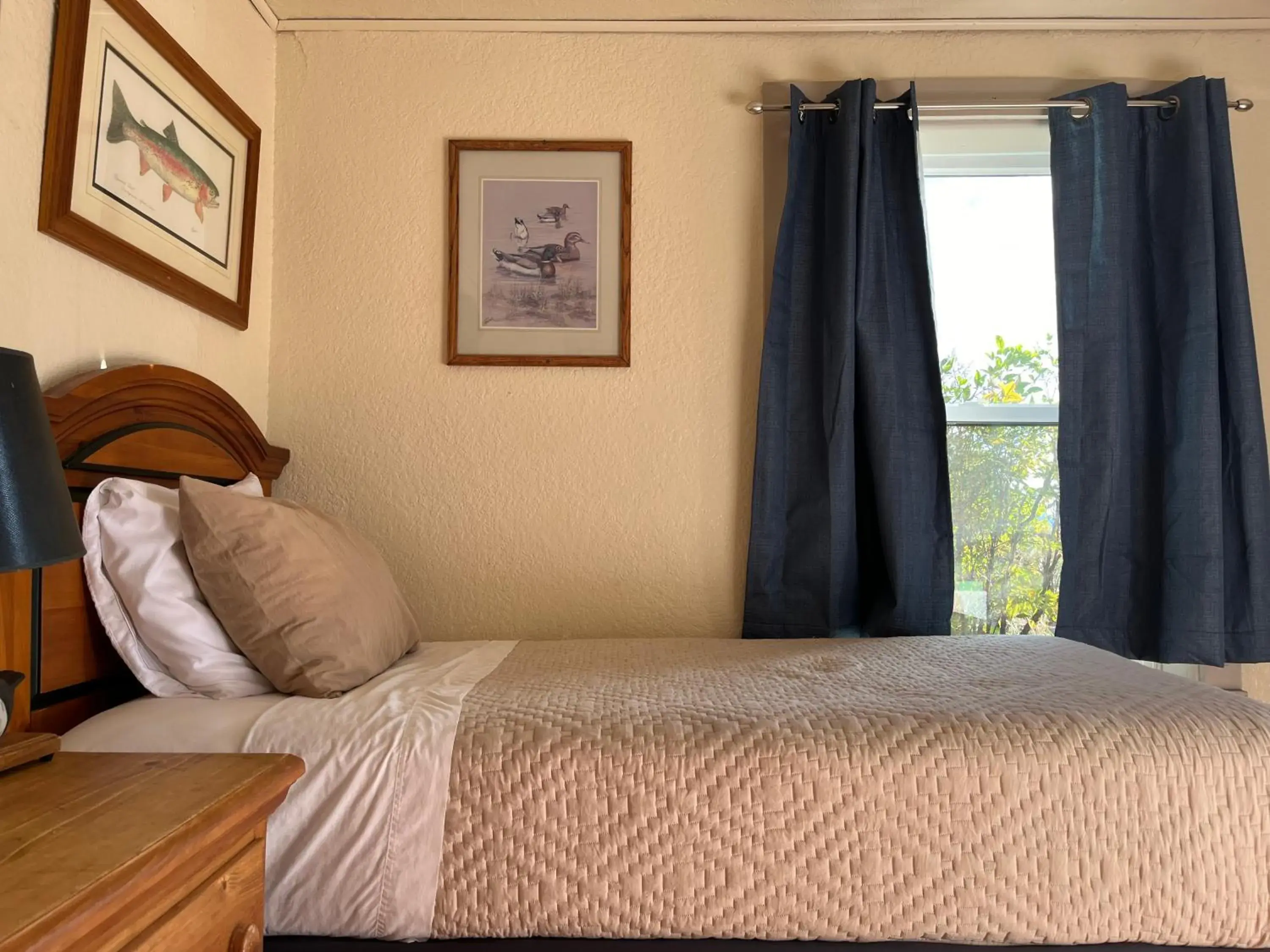 Double or Twin Room in Lee's Ferry Lodge at Vermilion Cliffs Double or Twin Room in Lee's Ferry Lodge at Vermilion Cliffs