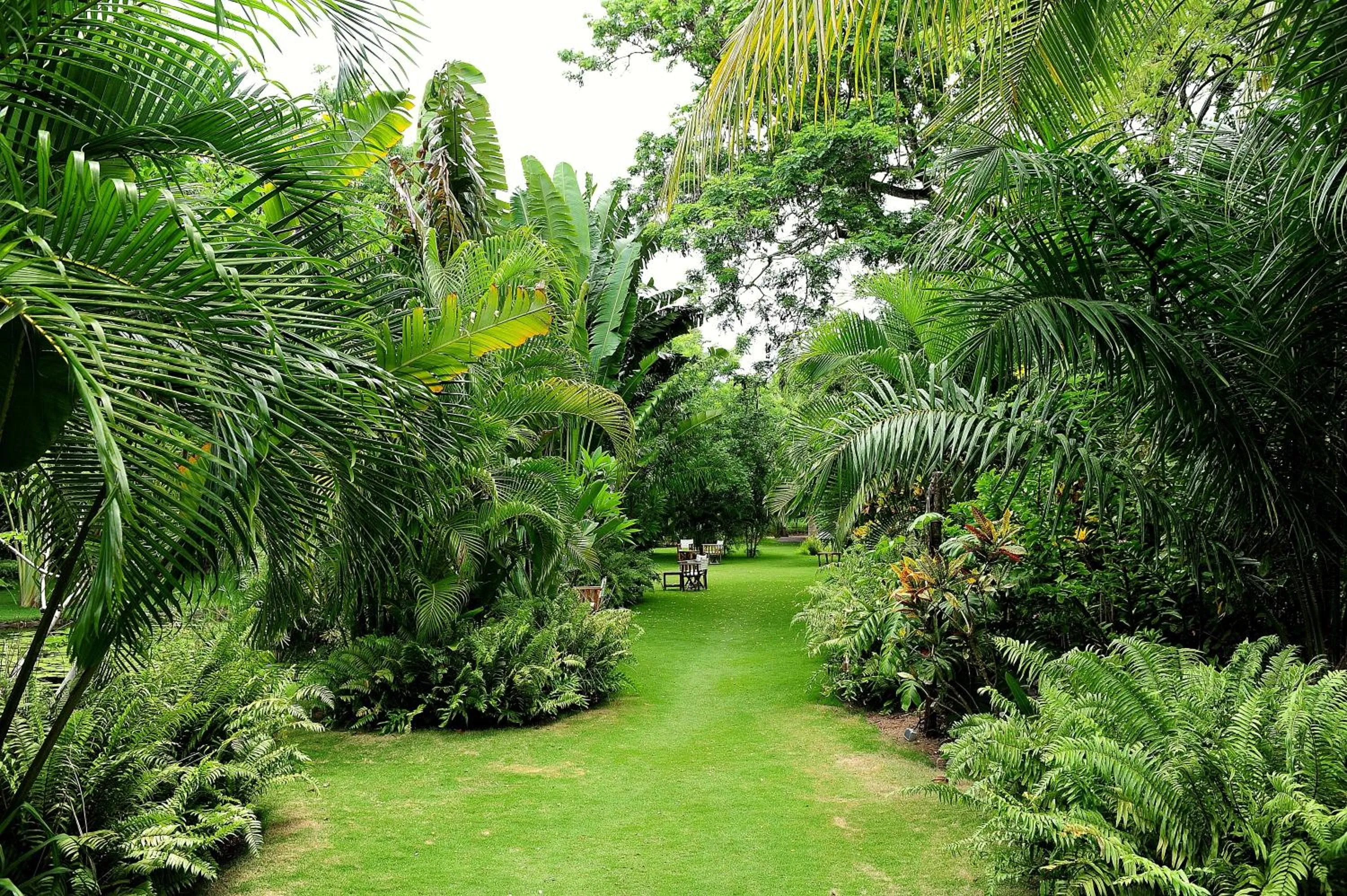 Garden in Anjajavy le Lodge - Relais&Châteaux