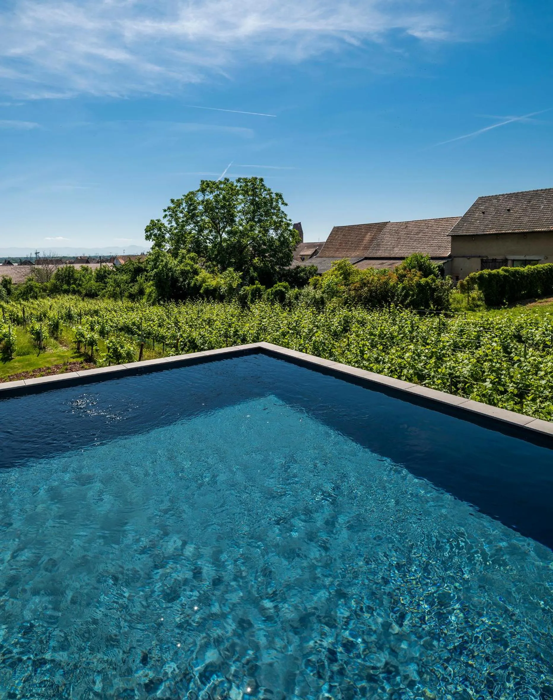 Natural landscape in James Vignoble Hôtel, Eguisheim