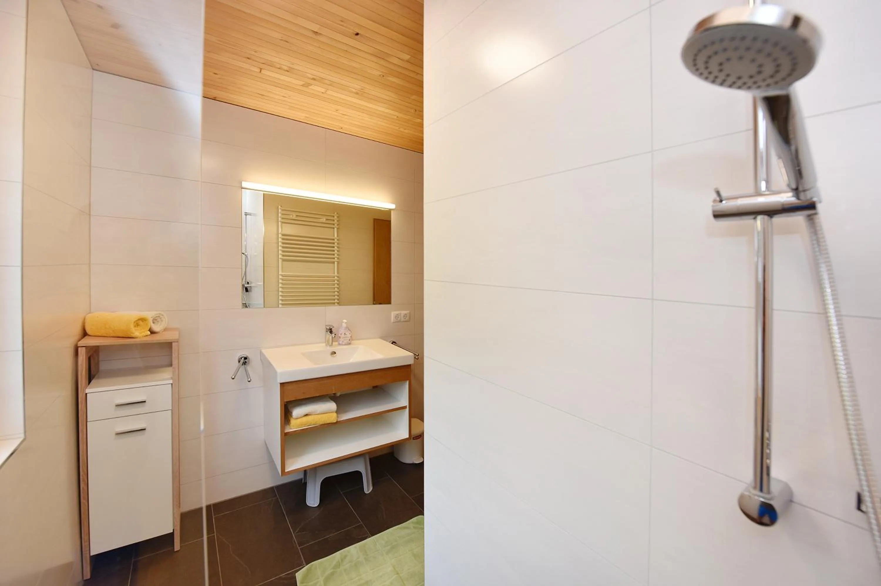 Shower in Ferienhof Felder