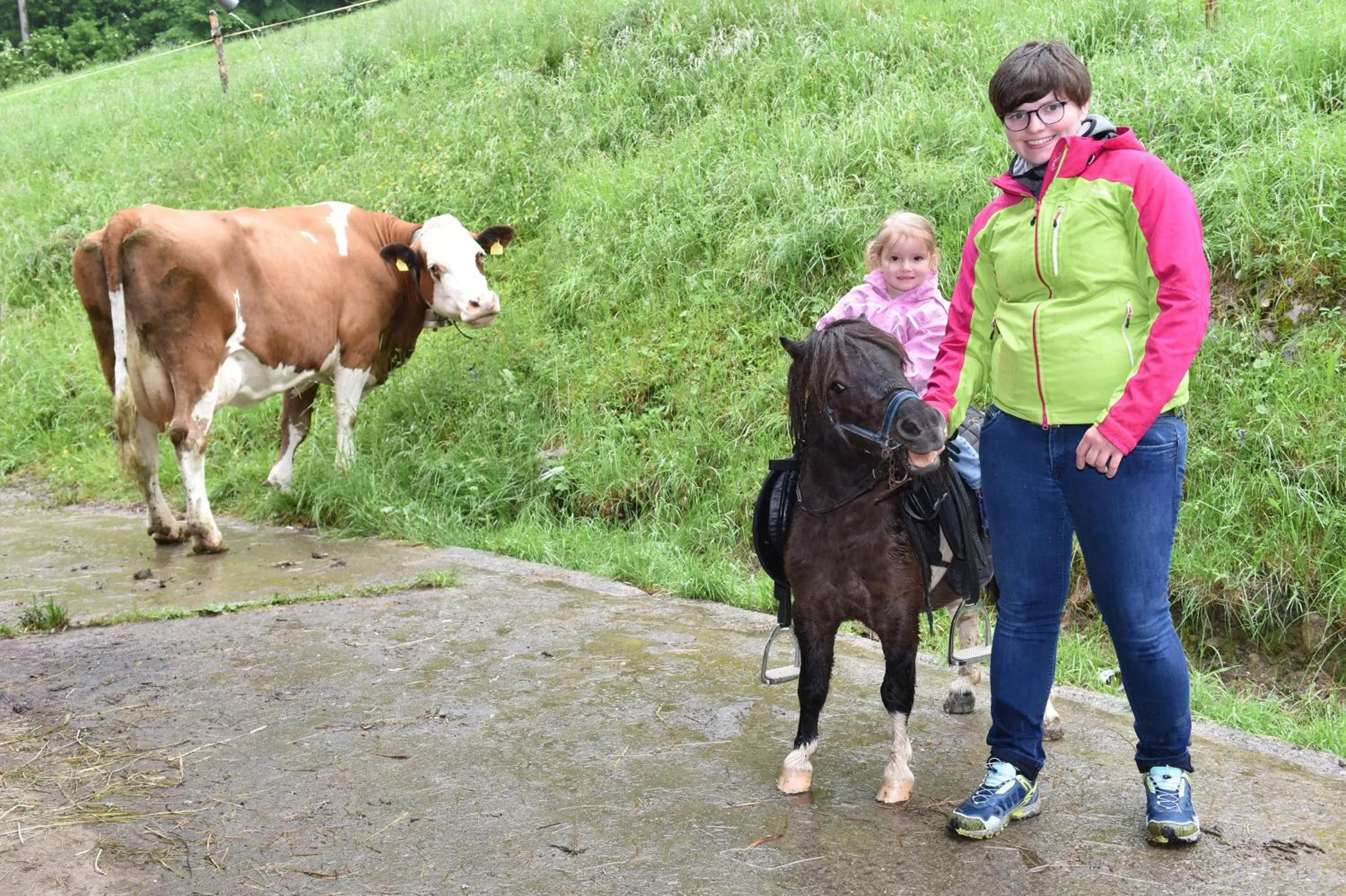 Animals in Ferienhof Felder
