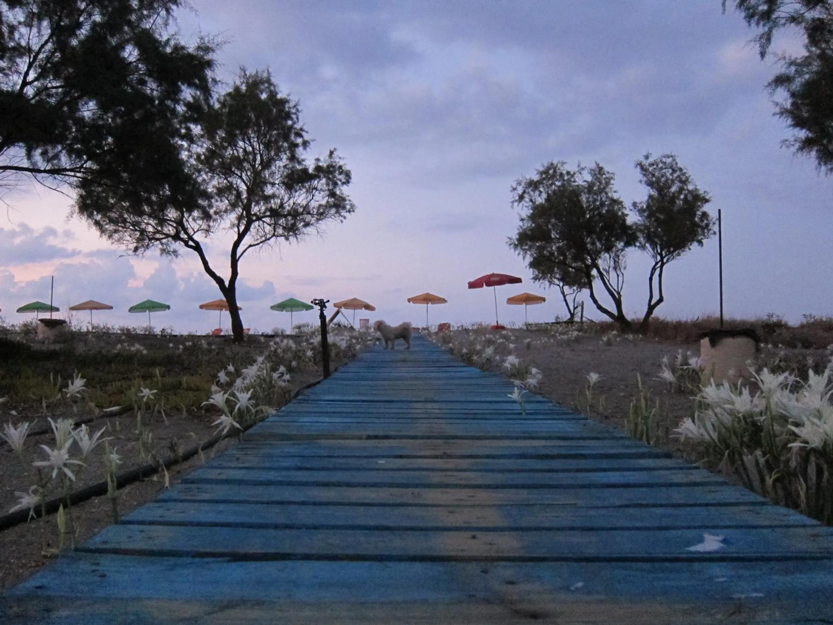 Restaurant/places to eat in Baladinos Apartments