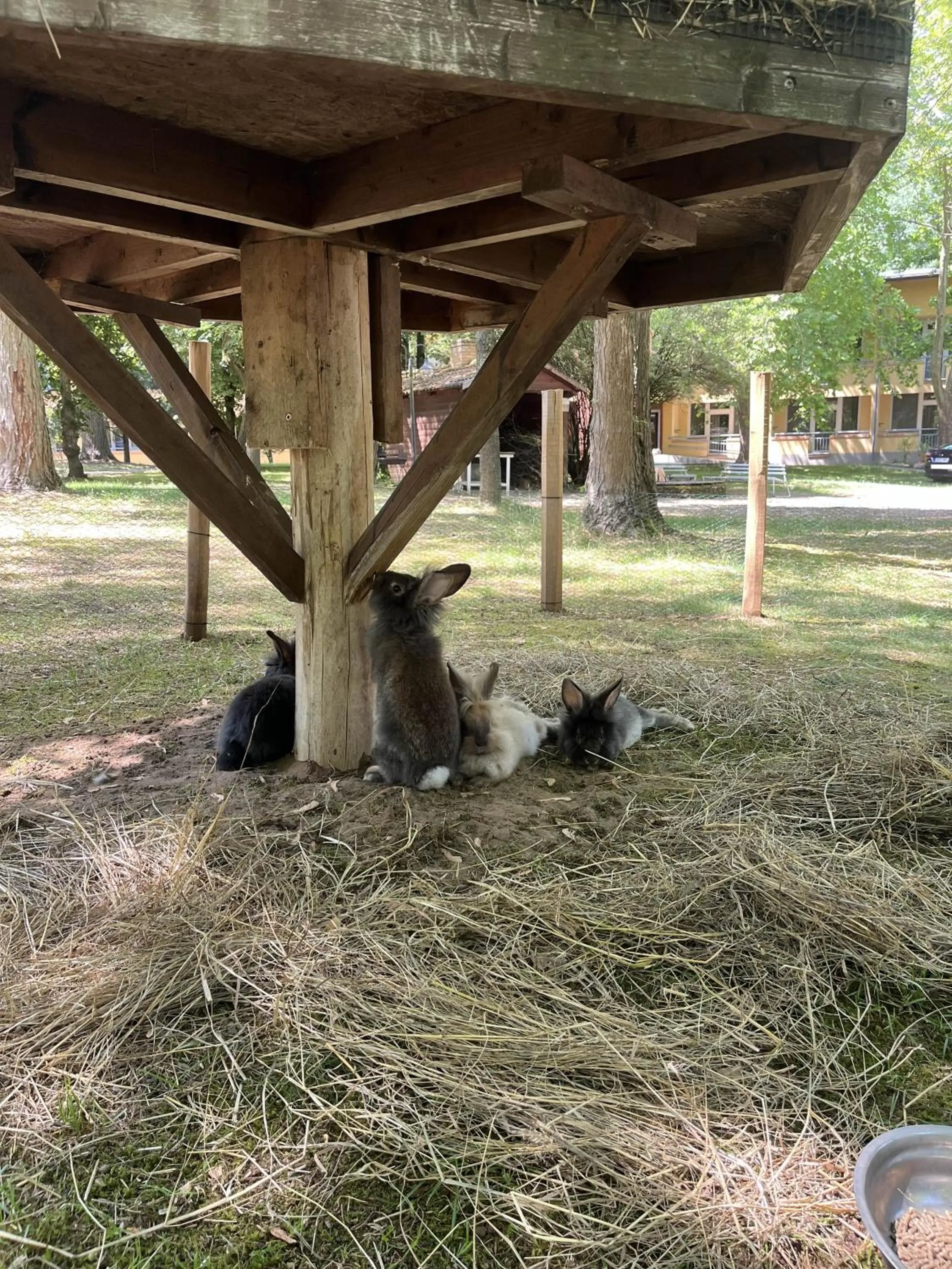 Day in Park Hotel Sóstó