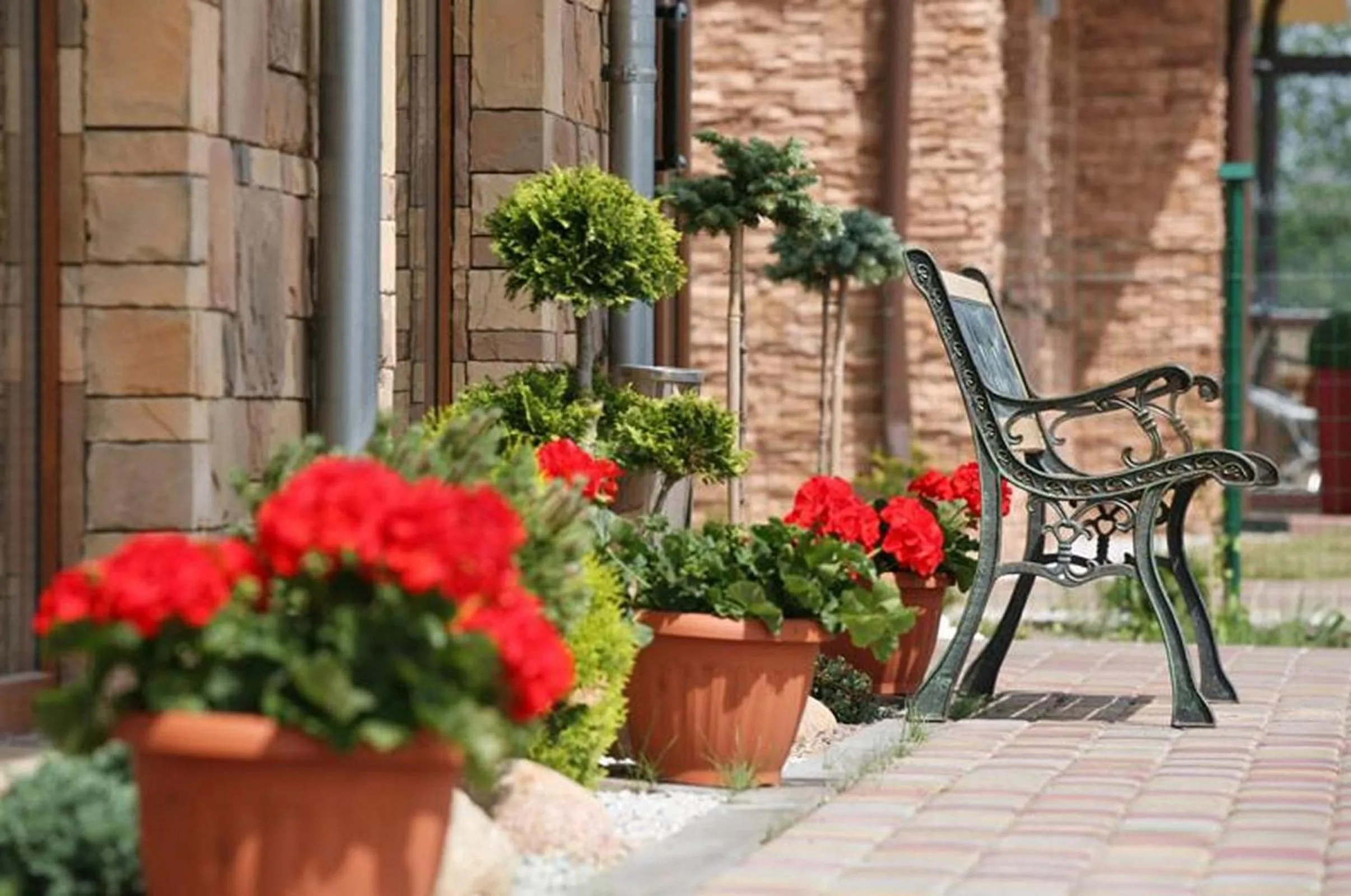 Garden in Amberia