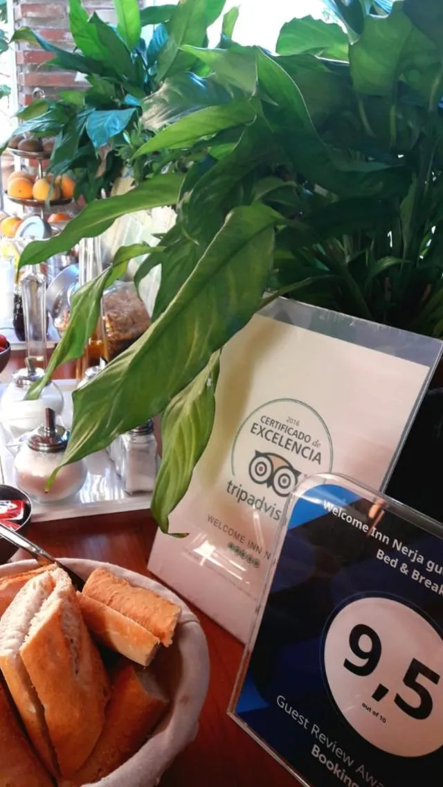 Breakfast in Welcome Inn Nerja guest house Luxury Bed & Breakfast