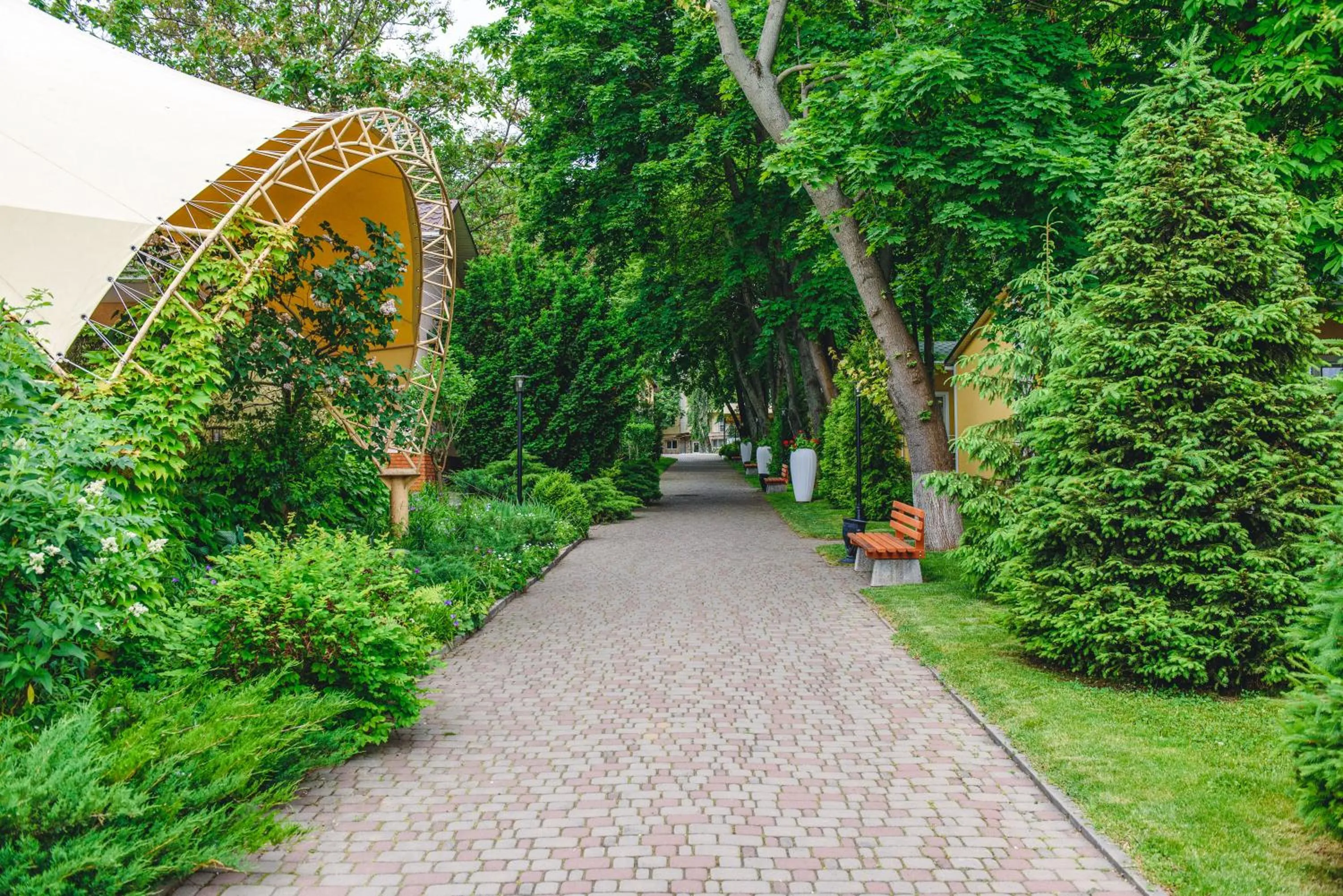 Natural landscape in Sovinyon Resort