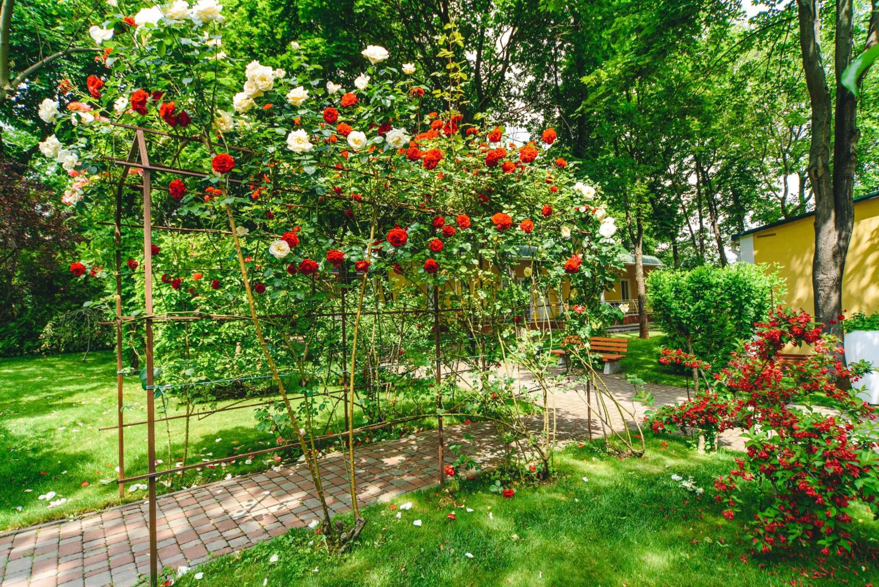 Garden in Sovinyon Resort