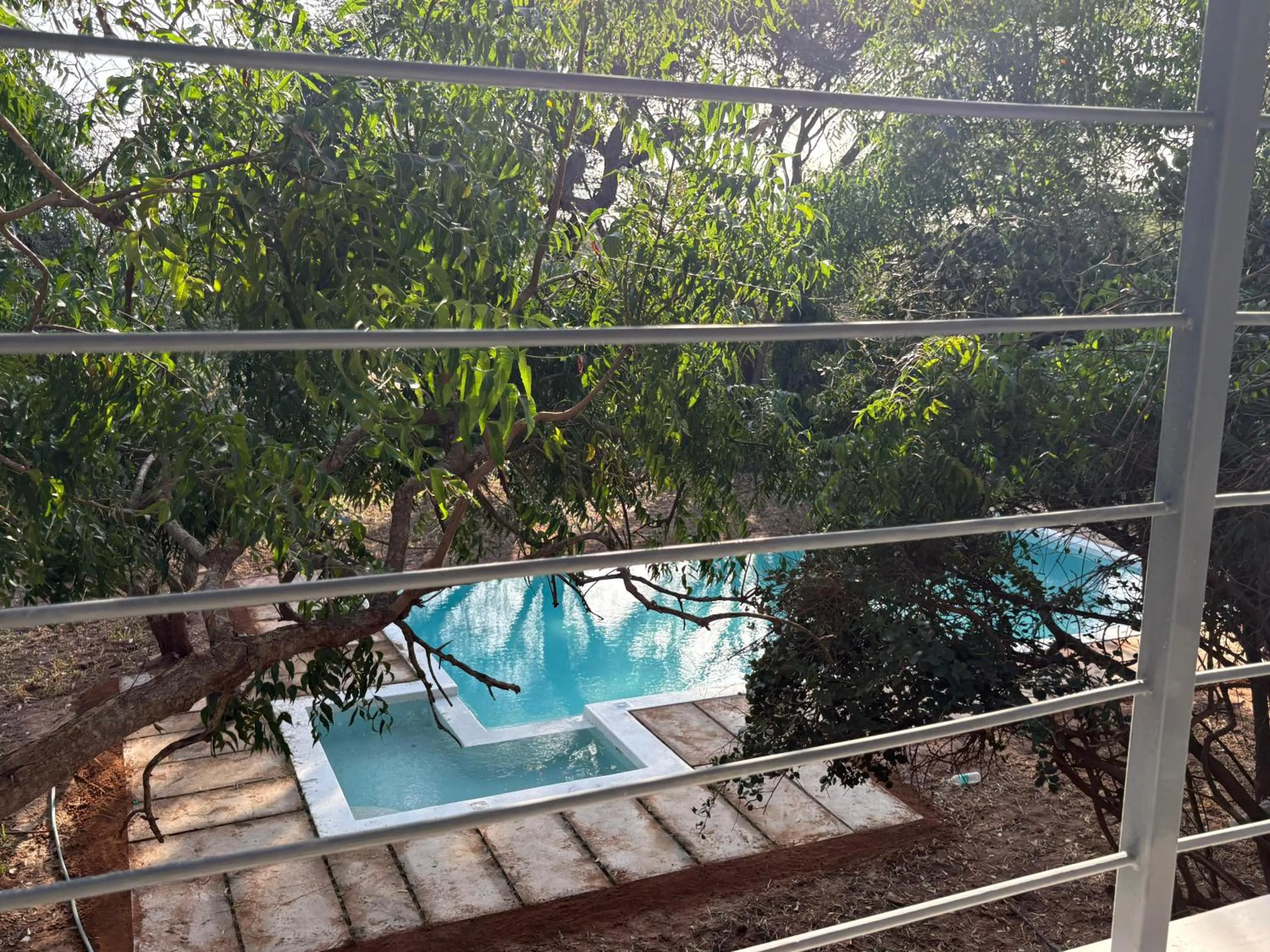 Swimming pool in Ashnil Aruba Lodge