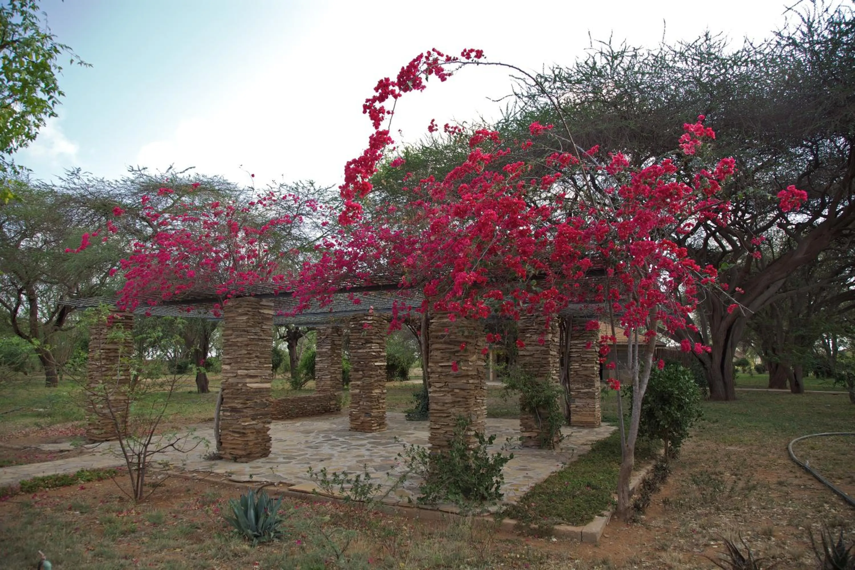 Area and facilities in Ashnil Aruba Lodge