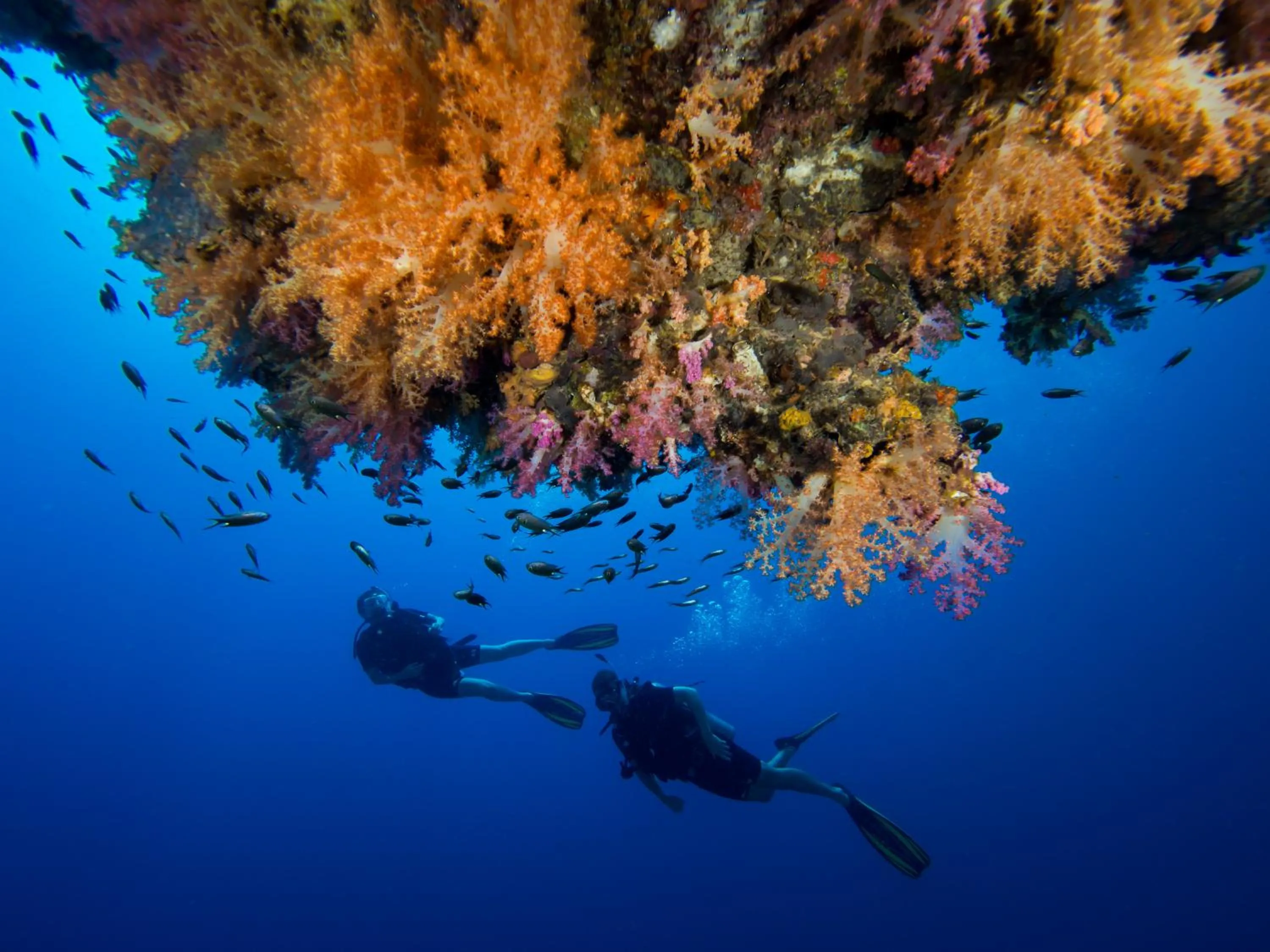 Diving in Pimalai Resort & Spa