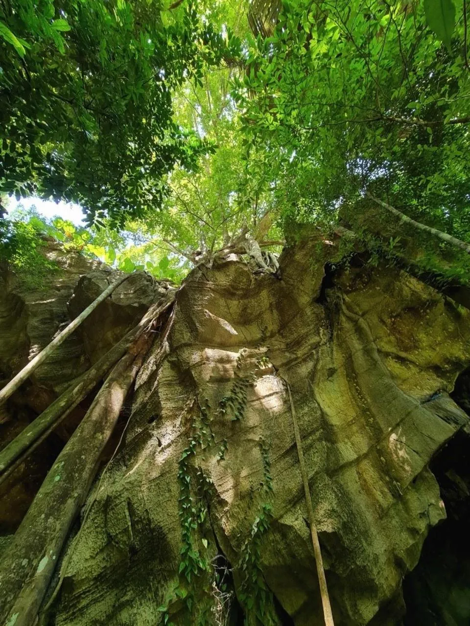 Hiking in Pimalai Resort & Spa