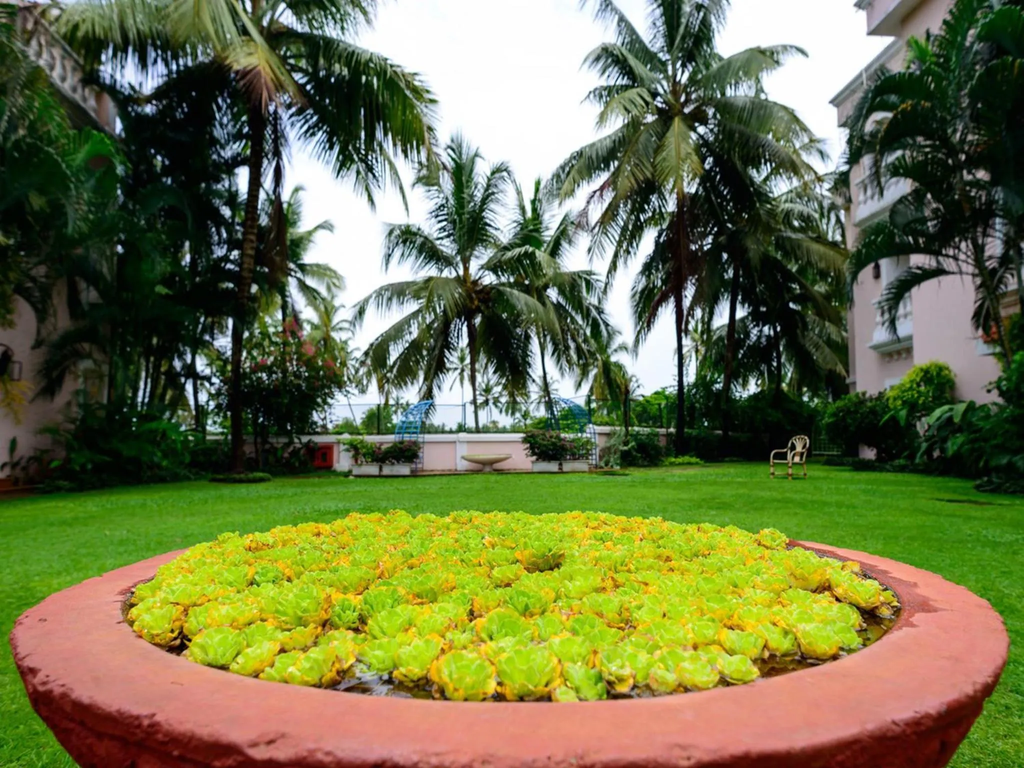 Garden in Club Mahindra Emerald Palms, Goa