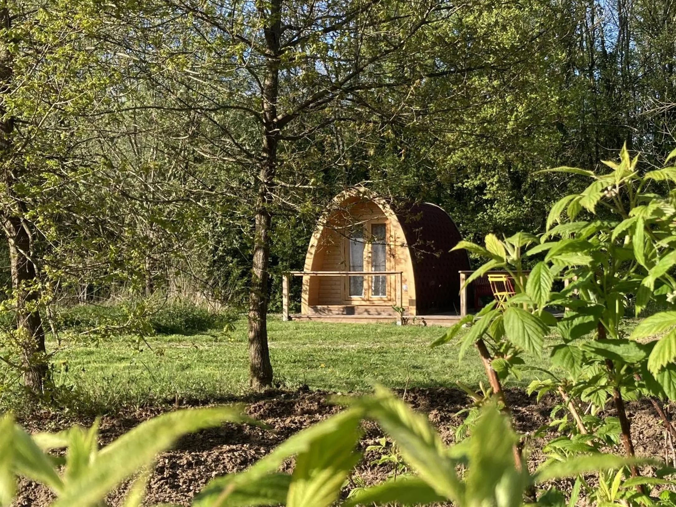 Garden view in Ô Saveur de l’Instant
