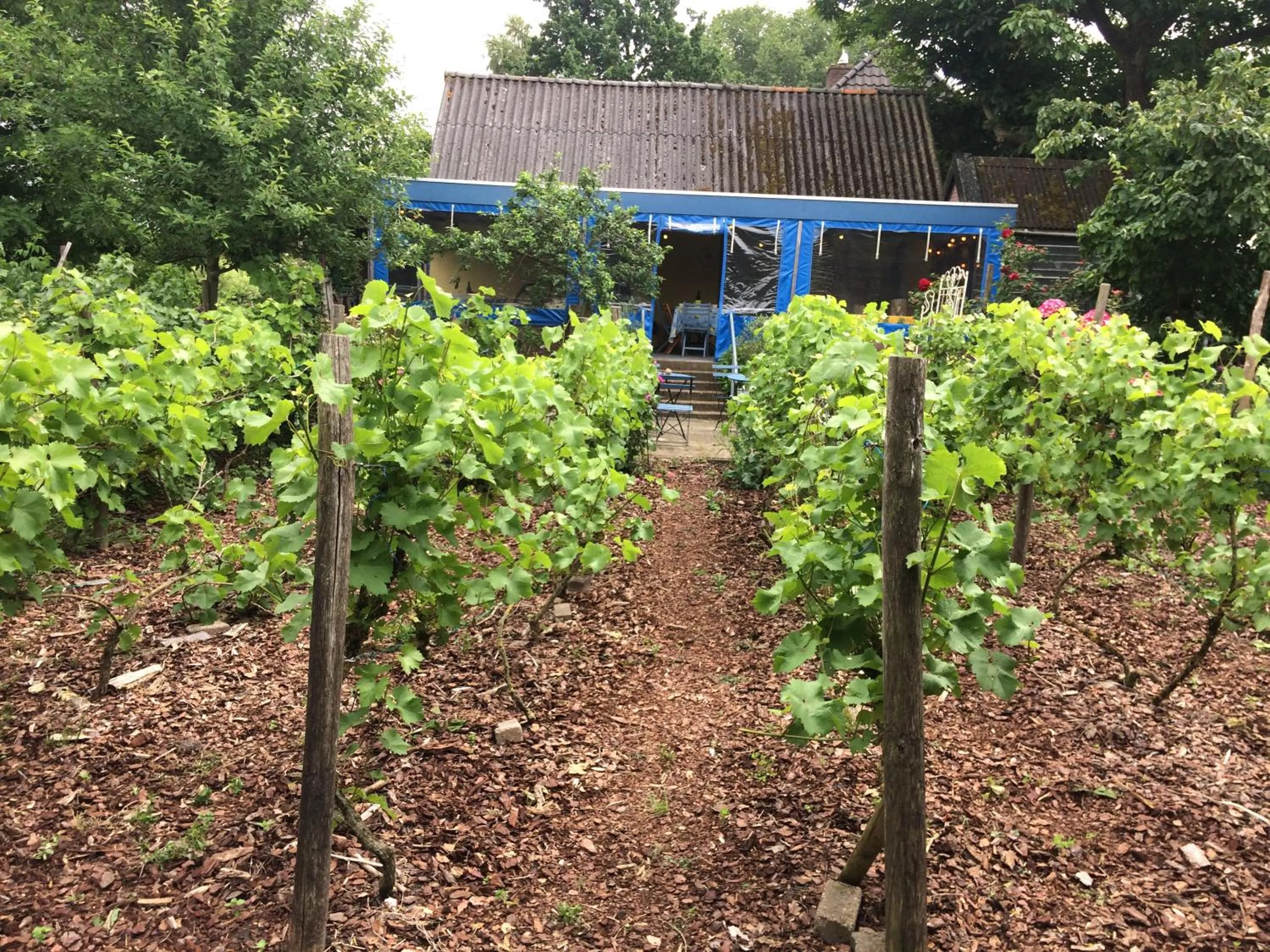 Garden in Bed and Garden Alde Coninckshof