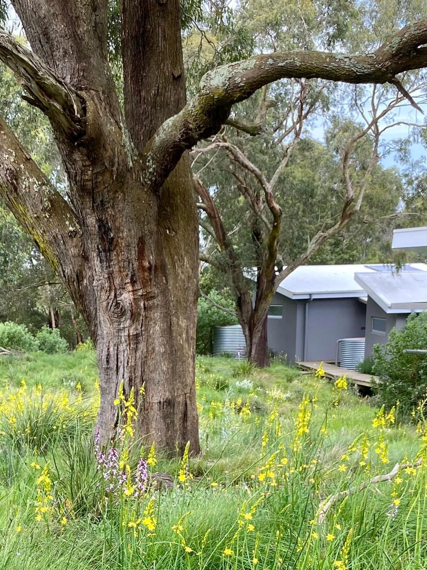 Property building in Messmates Luxury Eco Suites