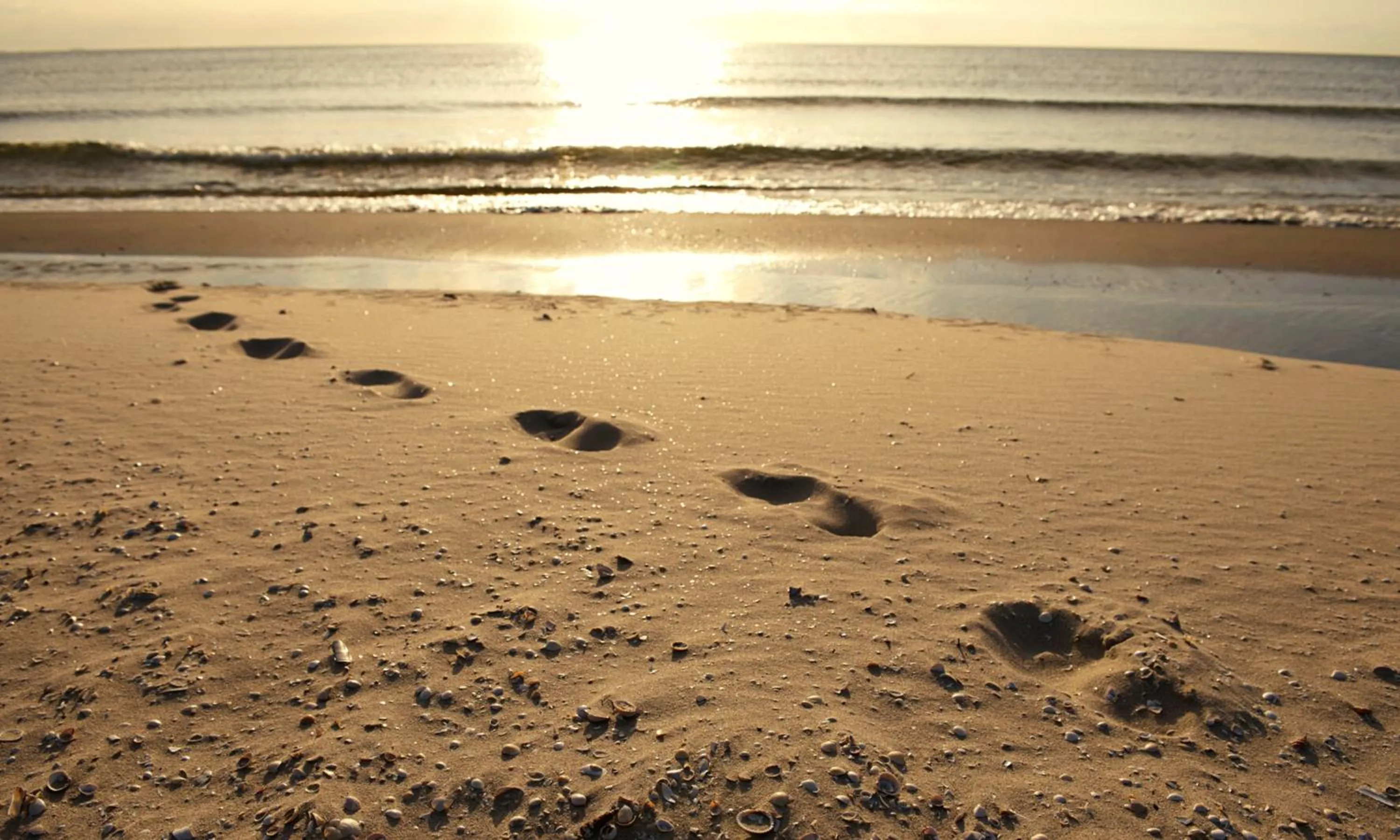 Natural landscape in Aalbæk Badehotel