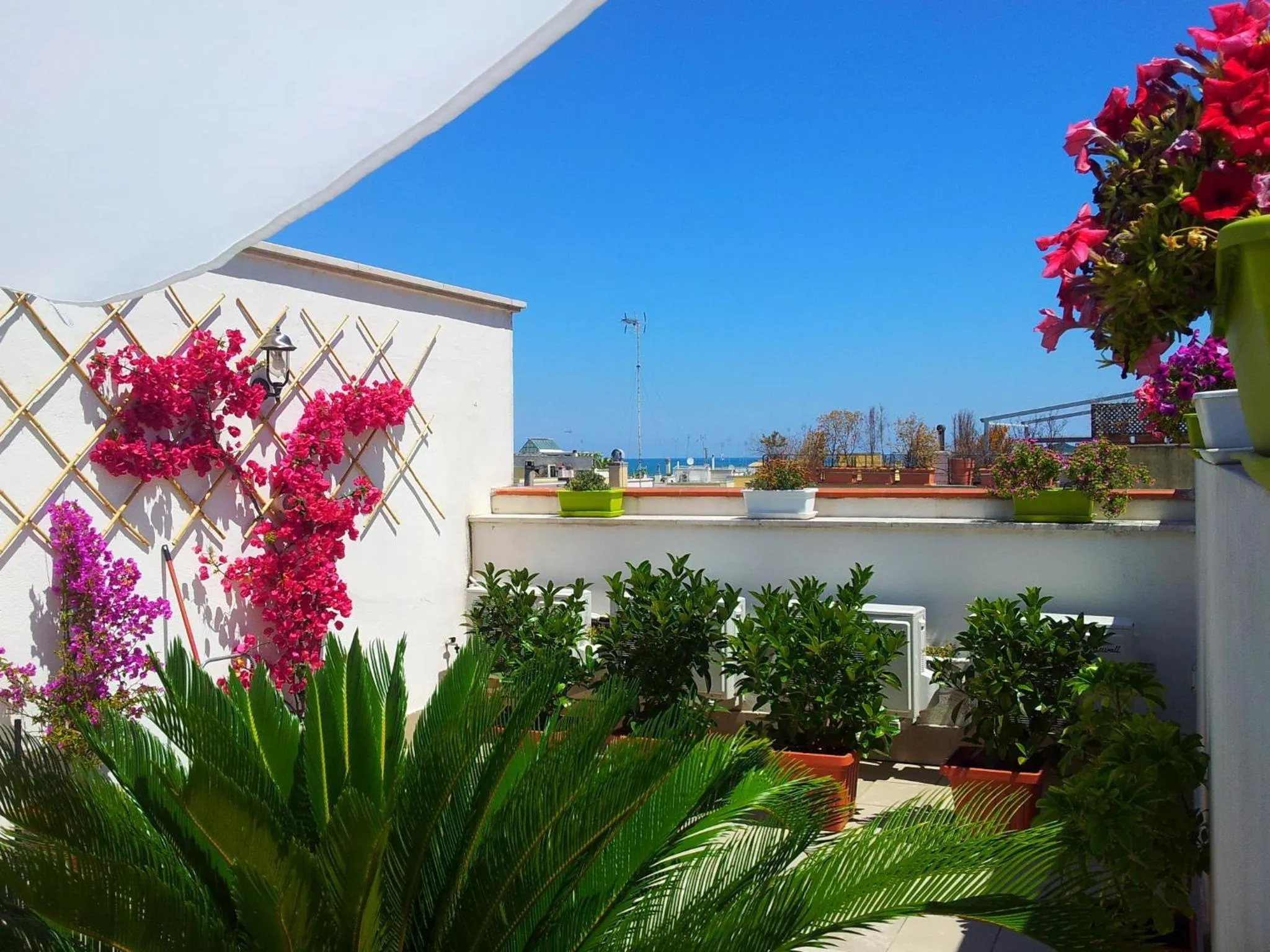 Balcony/Terrace in B&B Torrente Antico