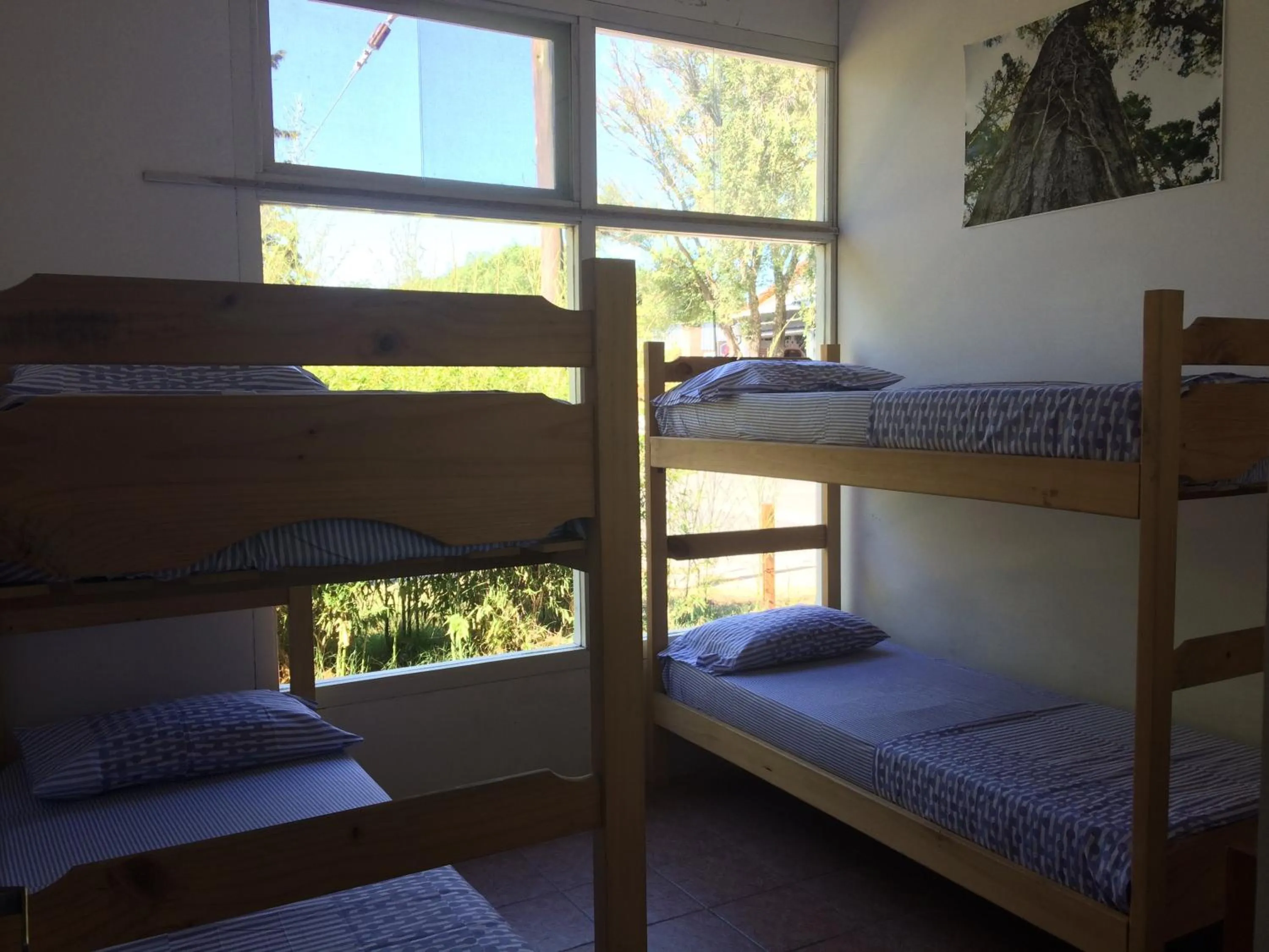 Bedroom, Bed in Pinamar Hostel Casa de Verano