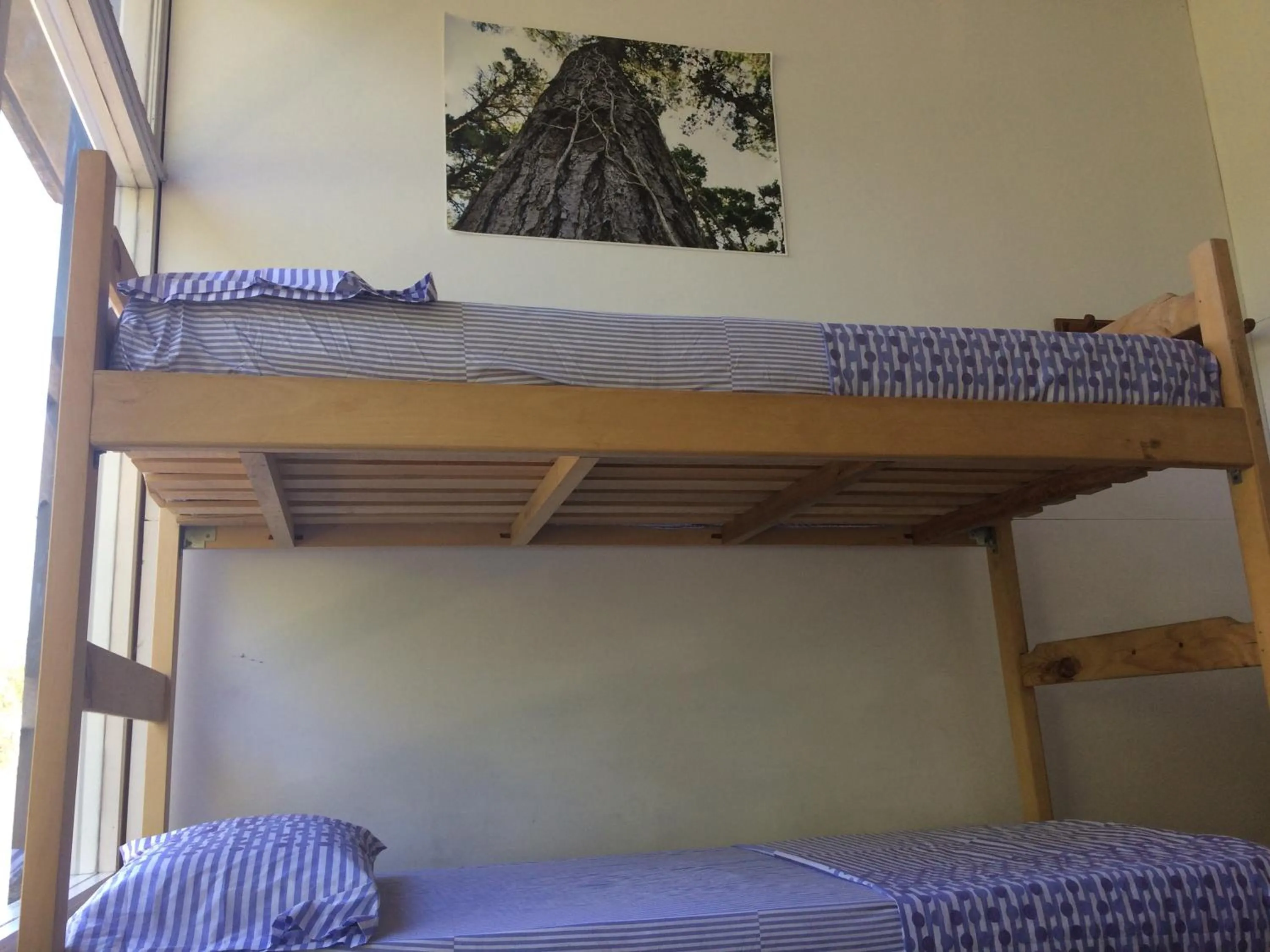 Bedroom, Bed in Pinamar Hostel Casa de Verano