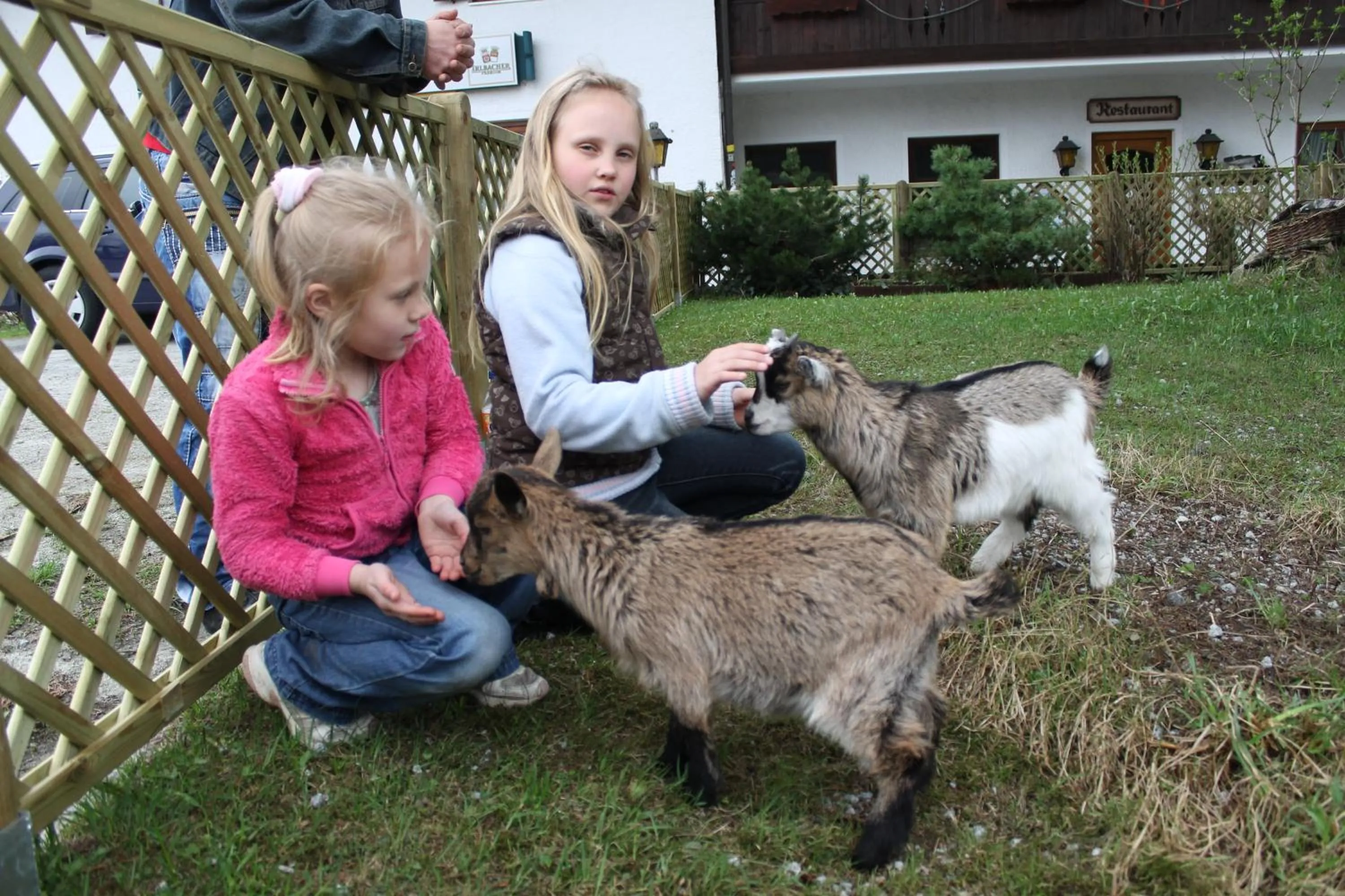 Animals in Hotel Schäfflerhof