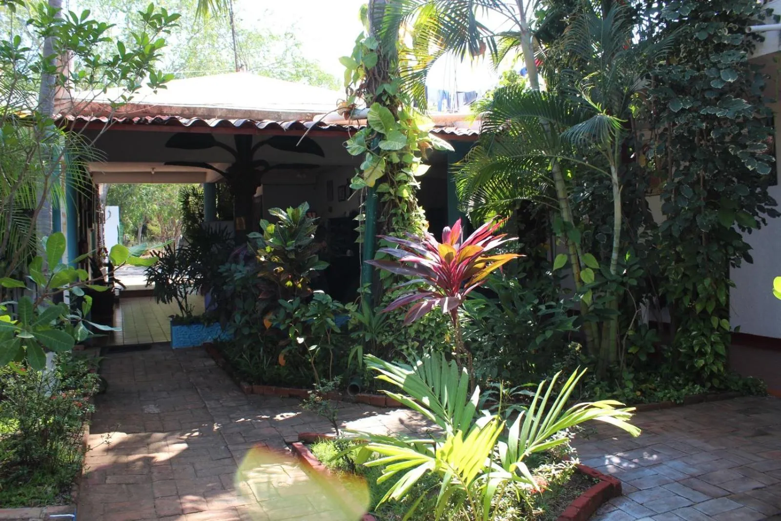 Garden in Hotel Albatros