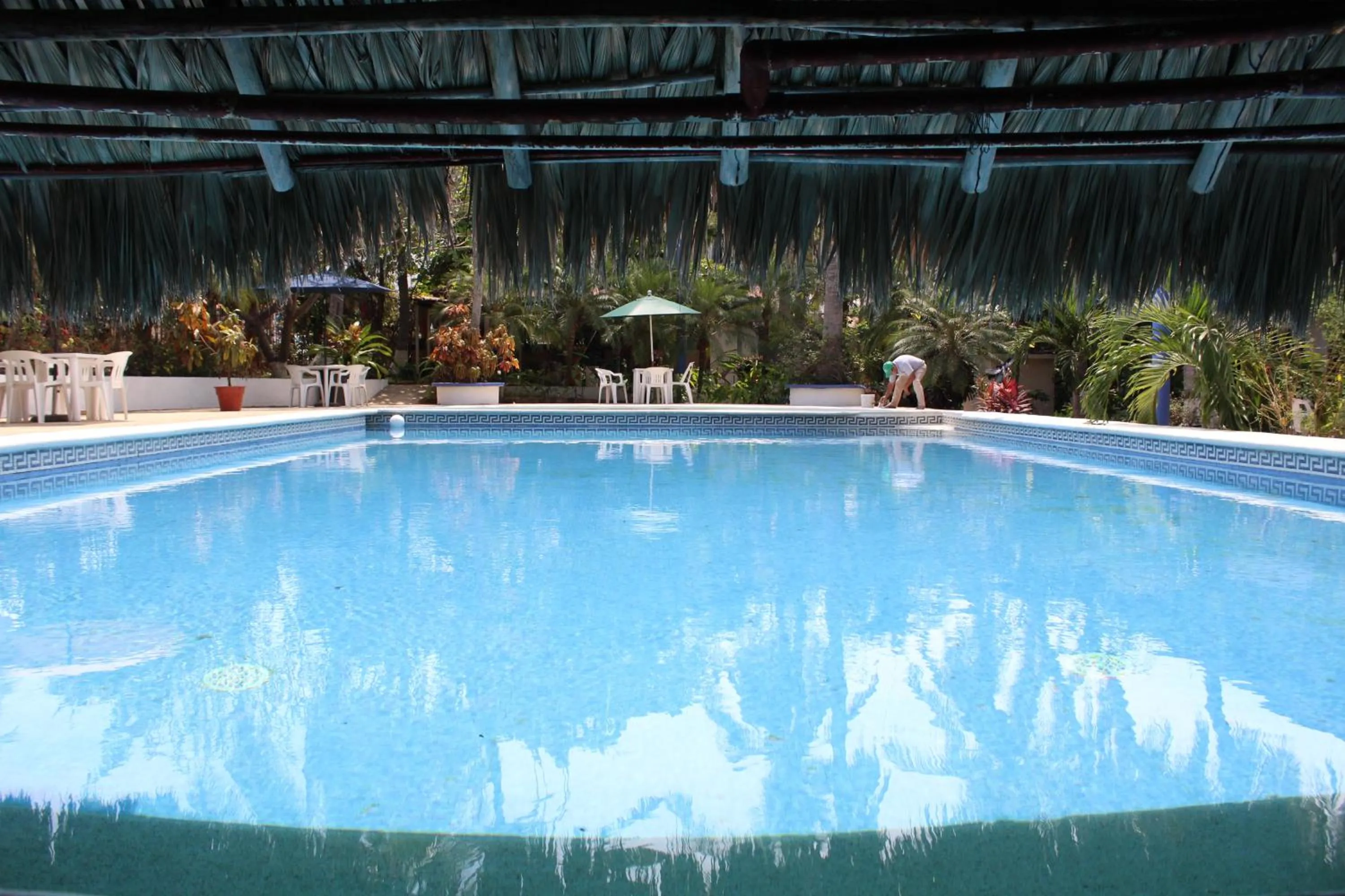 Swimming pool in Hotel Albatros