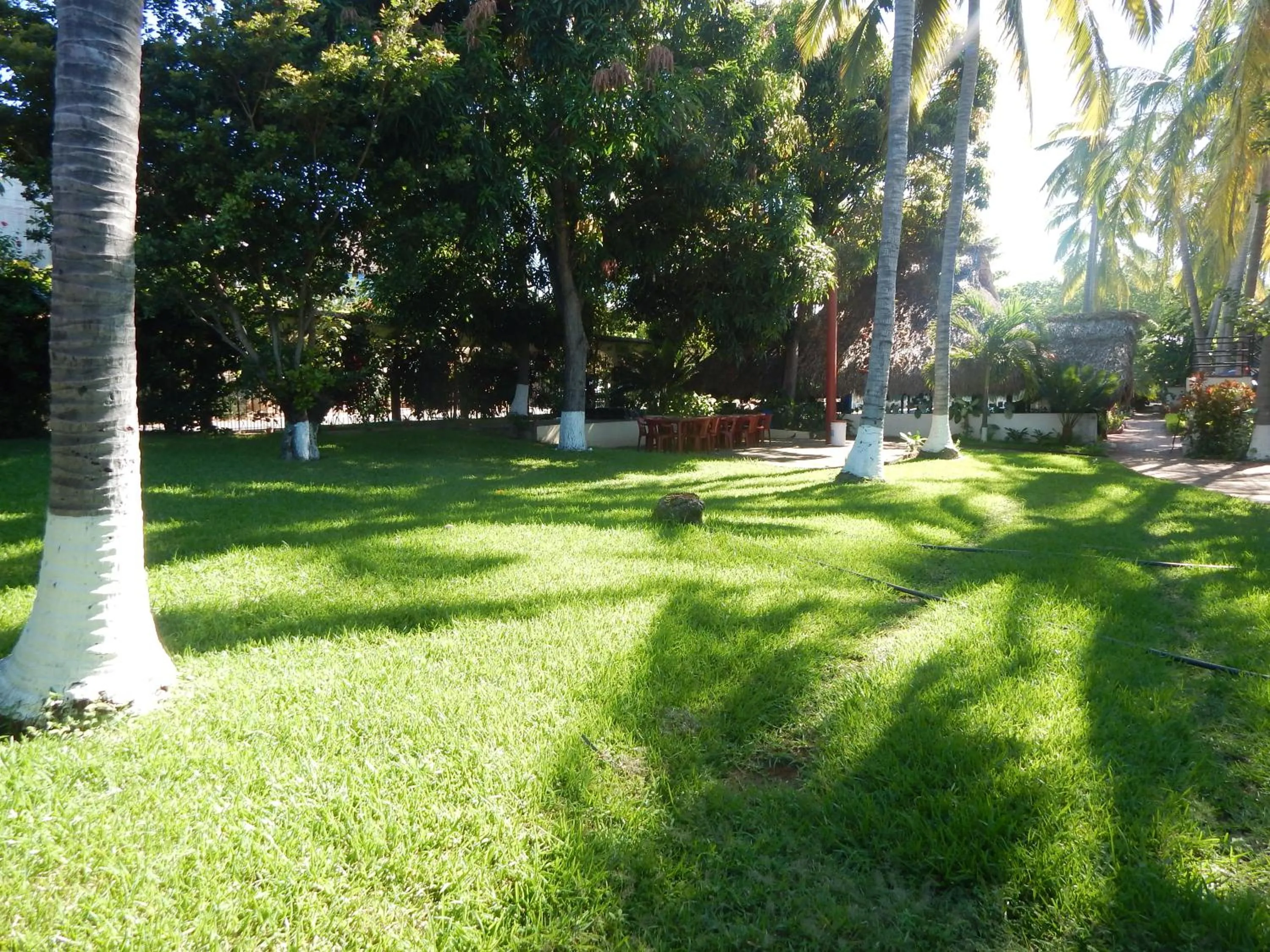 Garden in Hotel Albatros