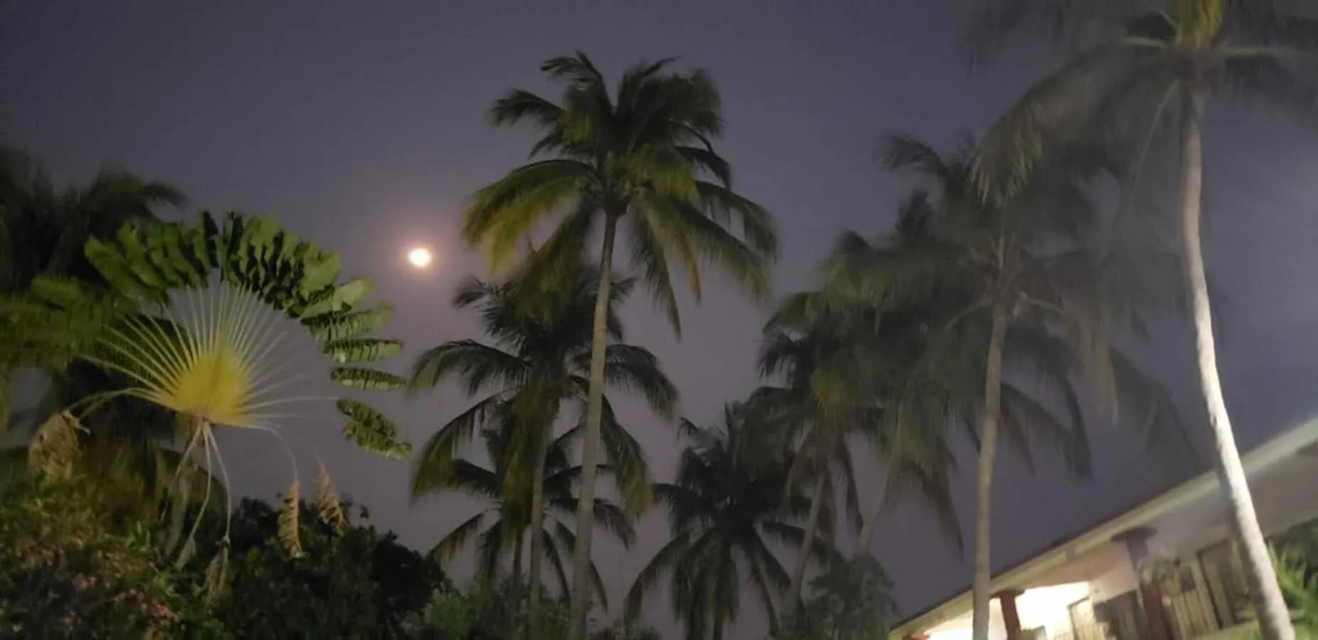 Garden view in Hotel Albatros