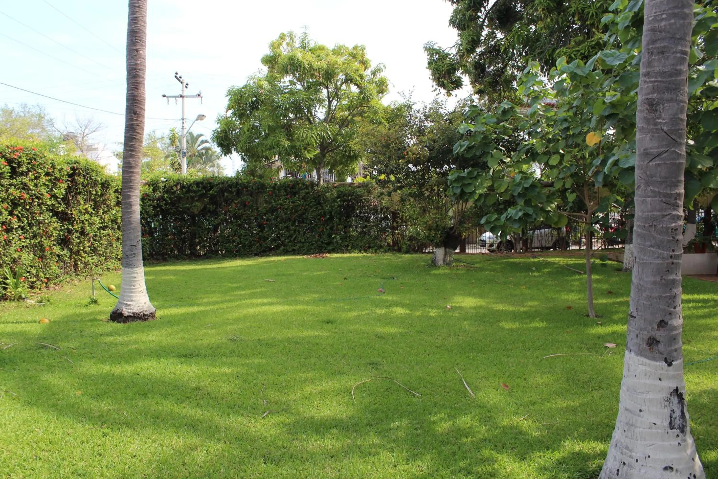 Garden in Hotel Albatros