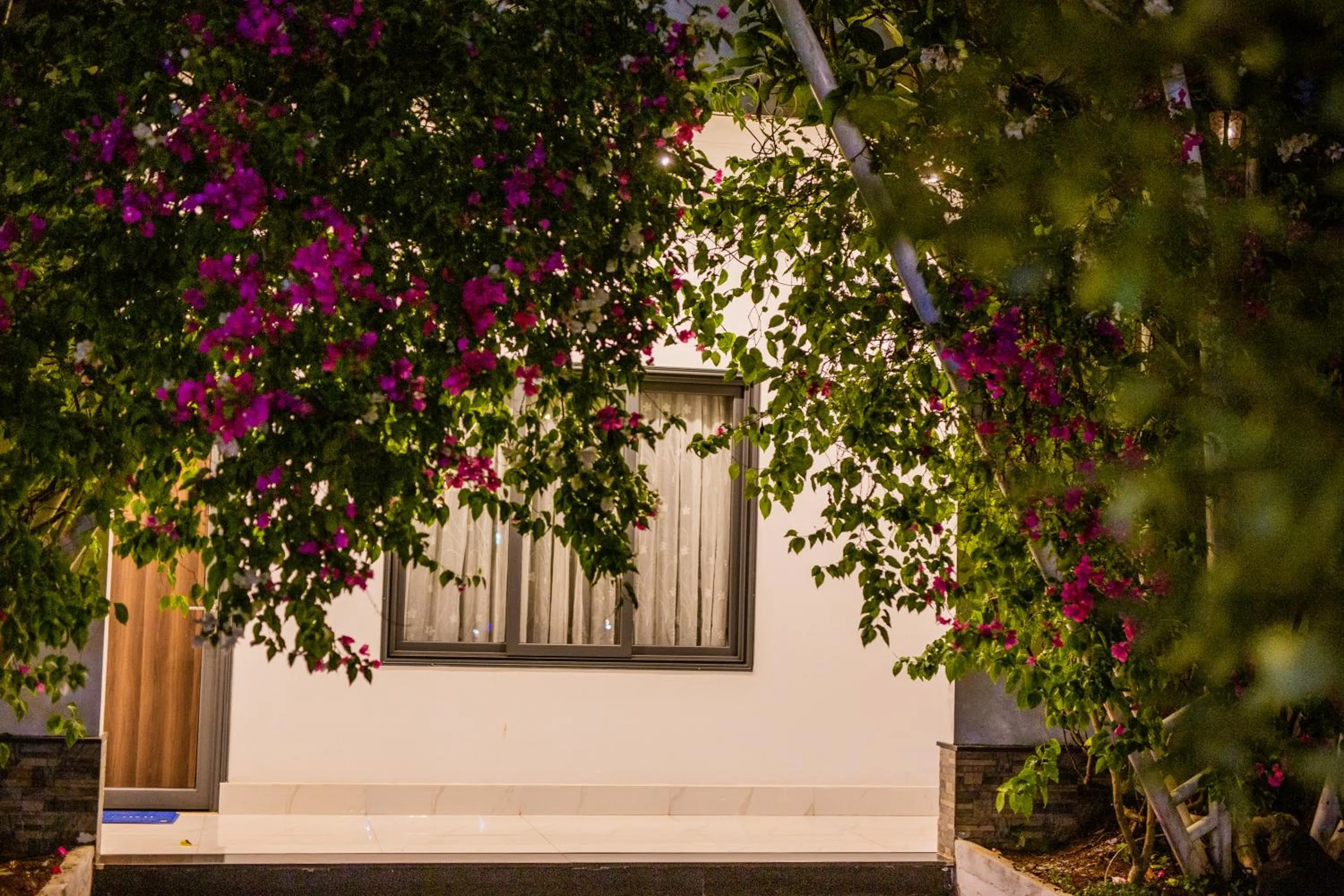 Garden in Nhat Quang Hotel