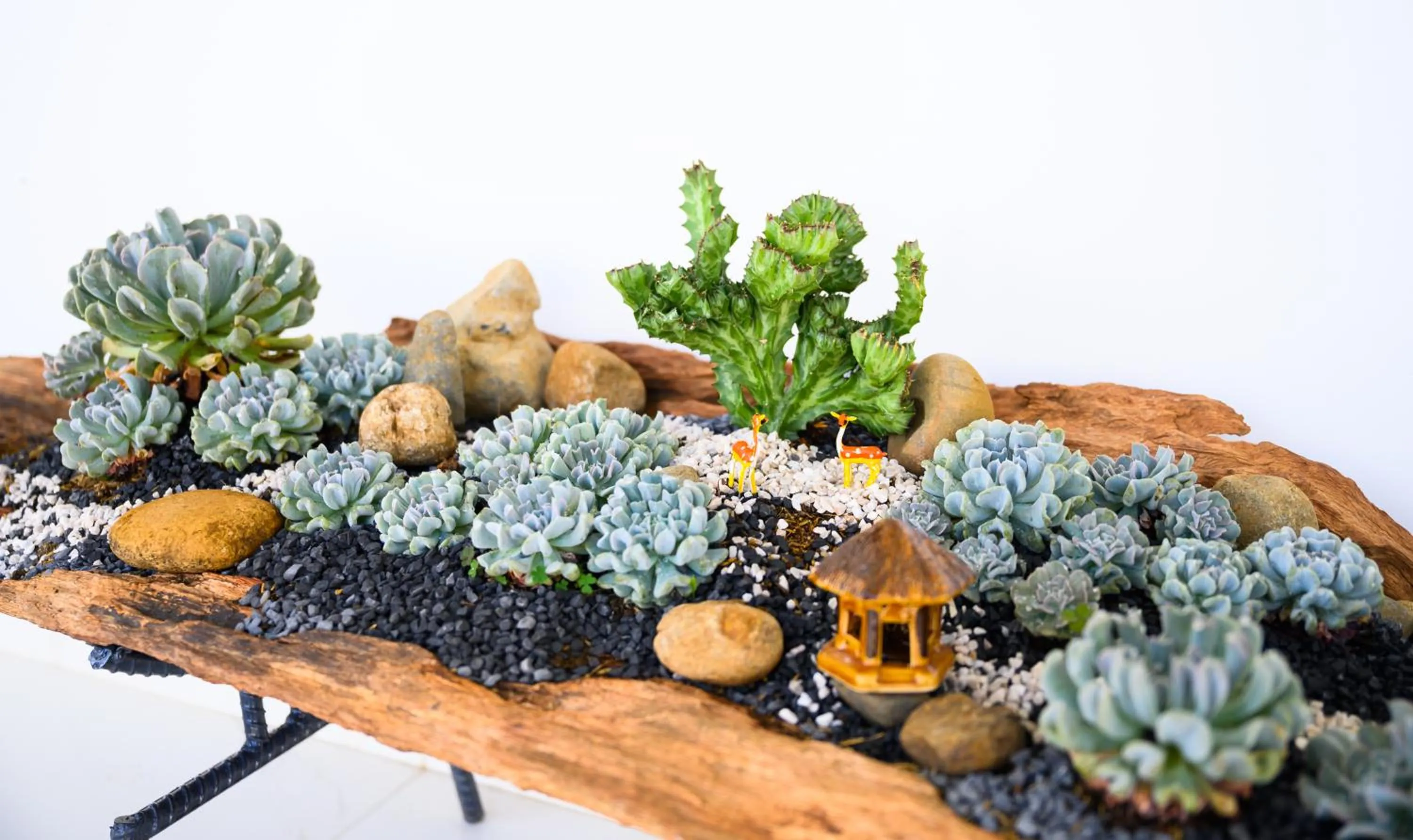 Garden in Nhat Quang Hotel