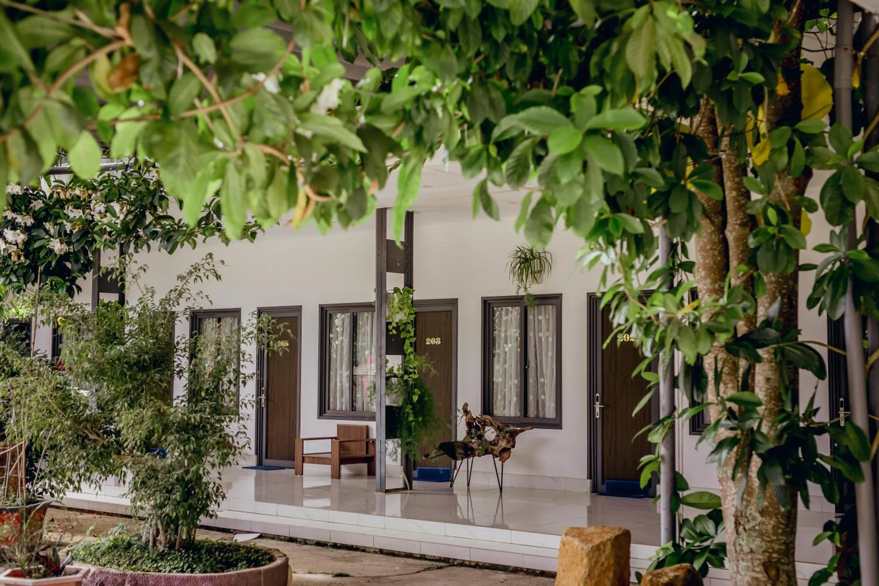 Garden in Nhat Quang Hotel