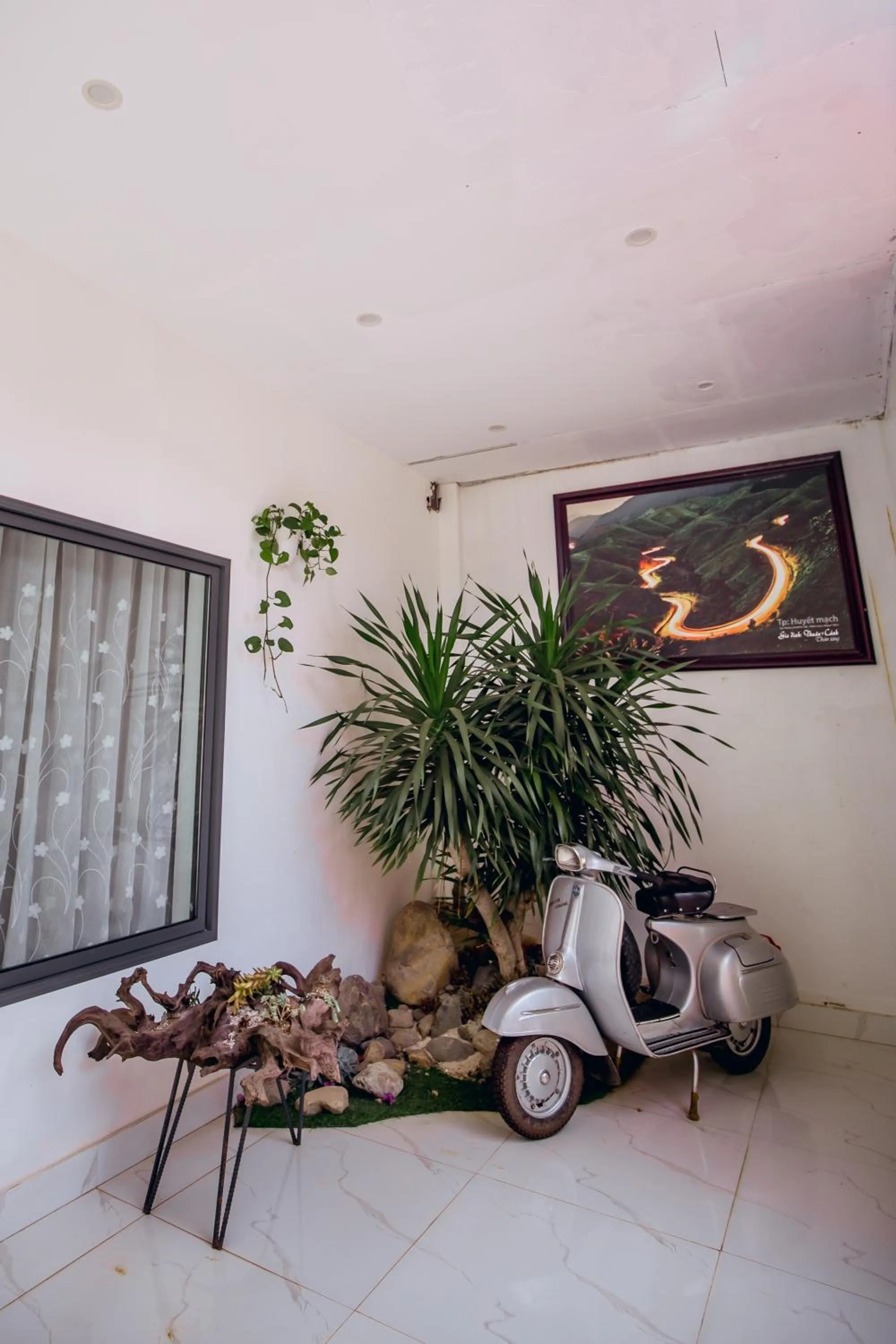 Garden in Nhat Quang Hotel