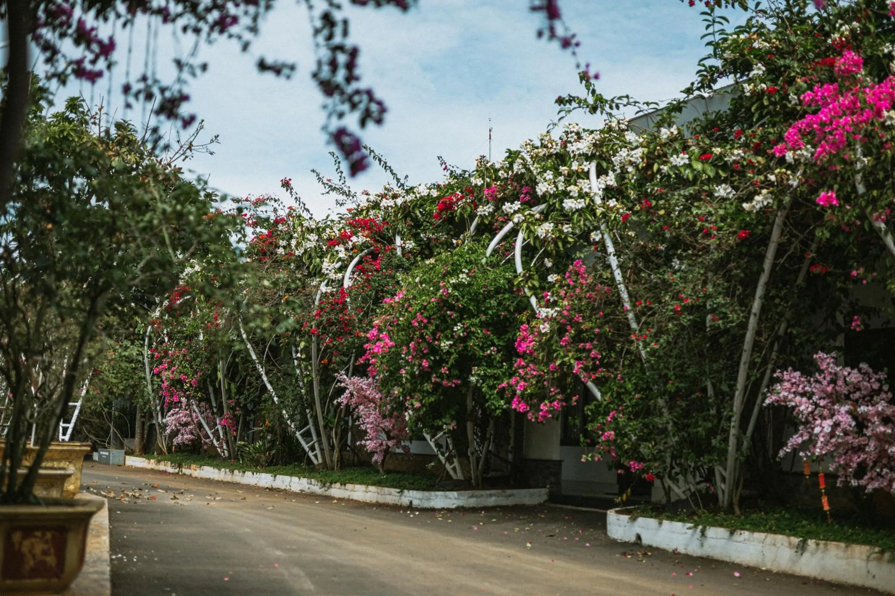 Garden in Nhat Quang Hotel