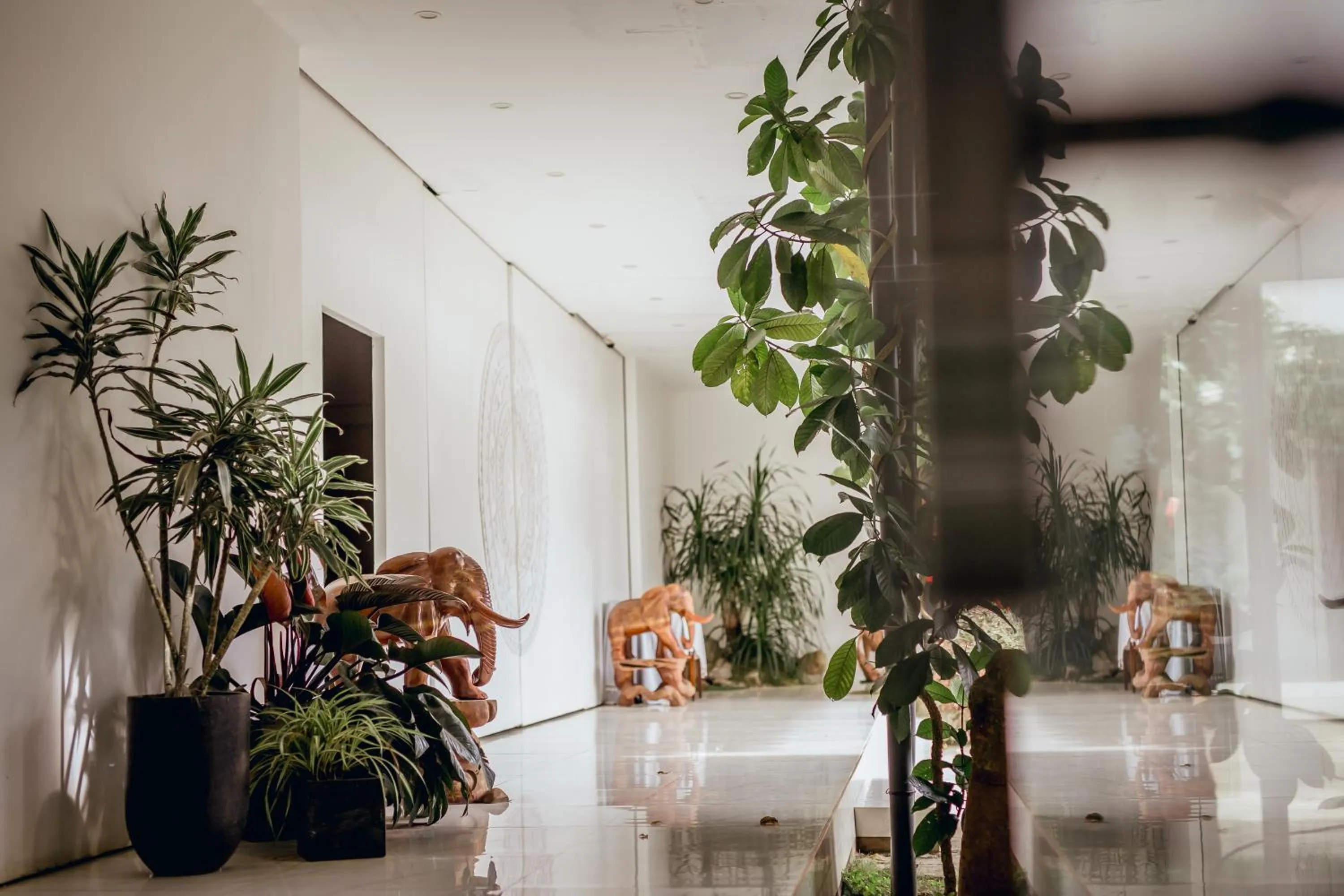 Garden in Nhat Quang Hotel